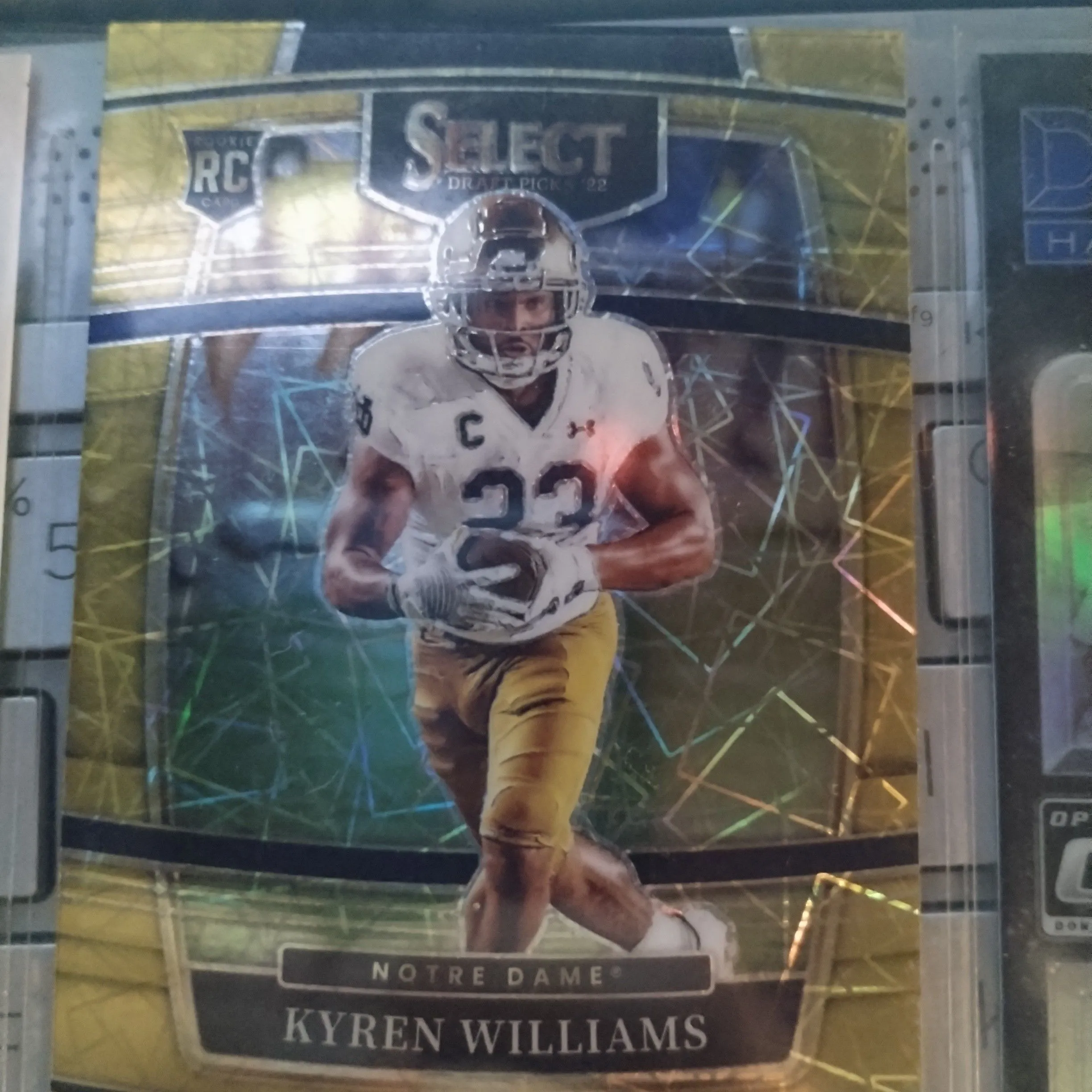 Product image for Karen Williams