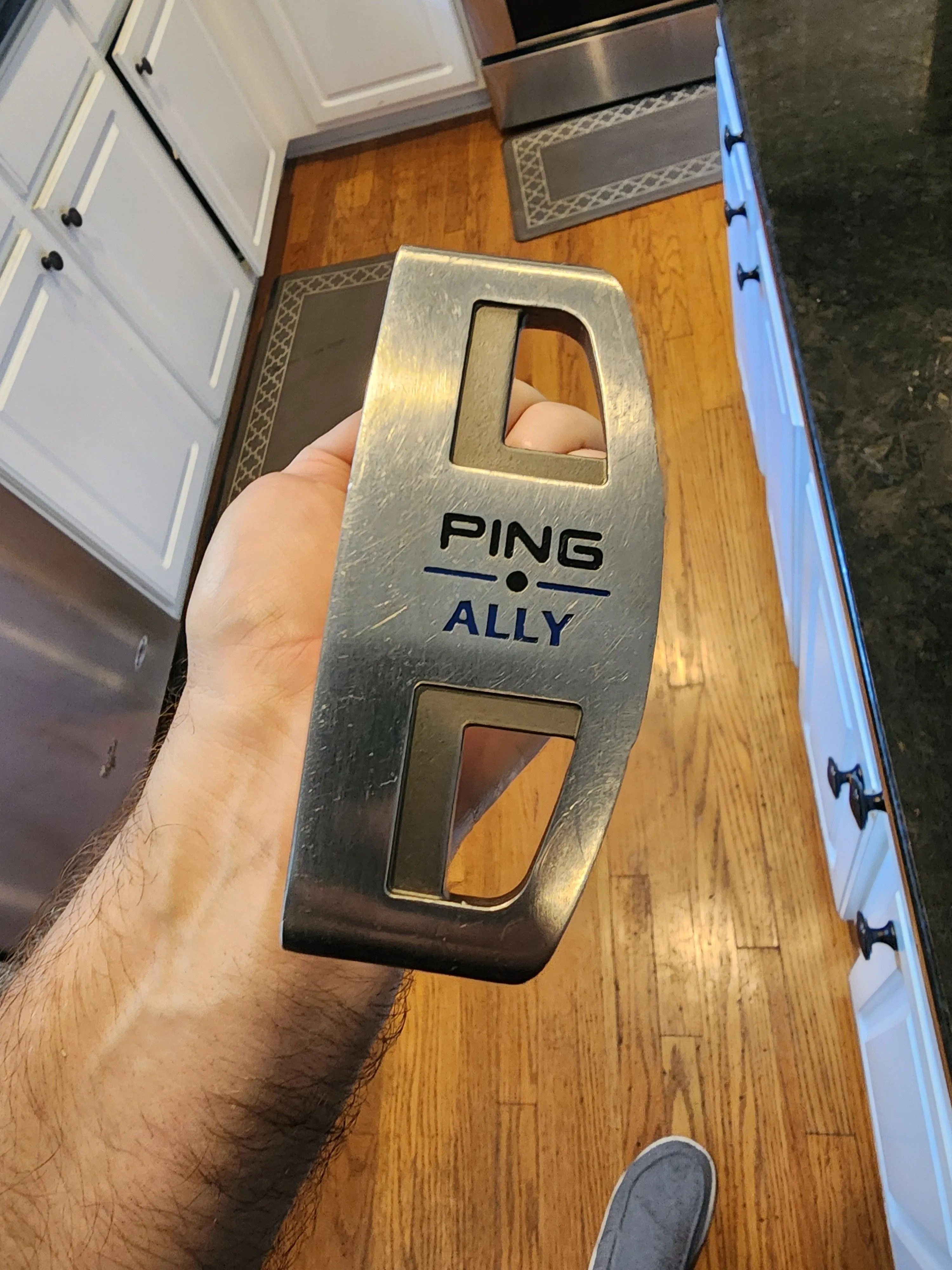 Product image for ping ally