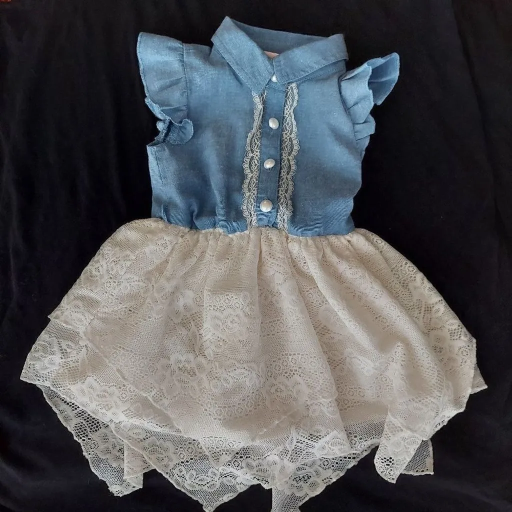 Product image for LITTLE Lady Lace Handkerchief Skirt Dress, 2T