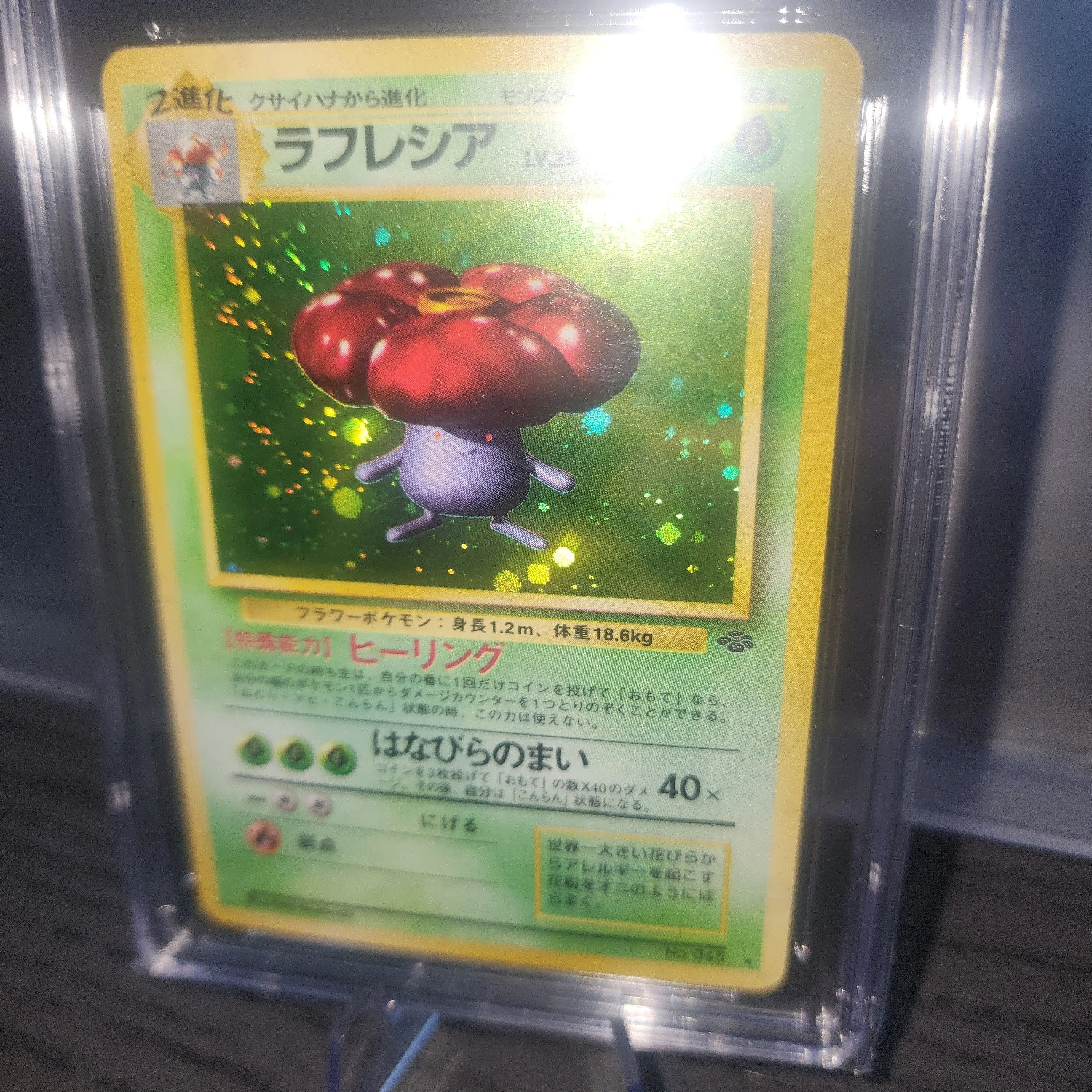 Listing Image Blurred Background