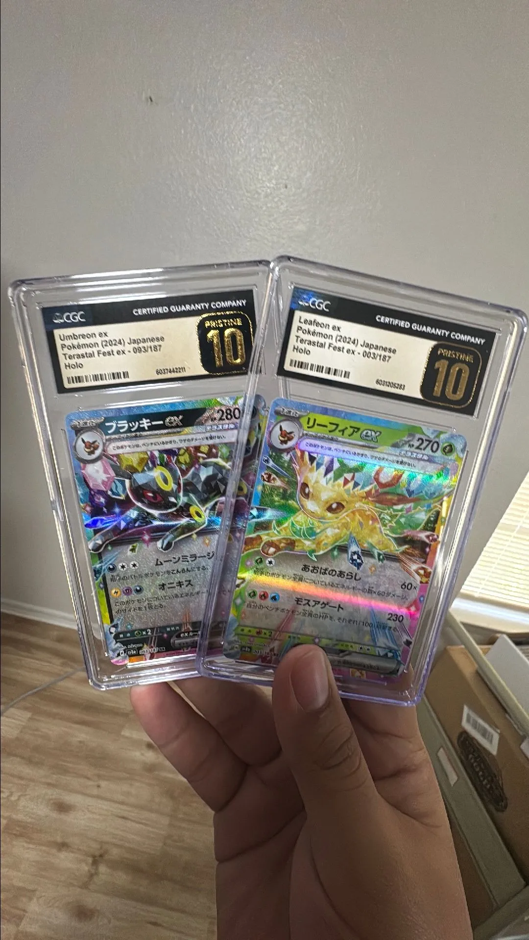 Product image for Bundle