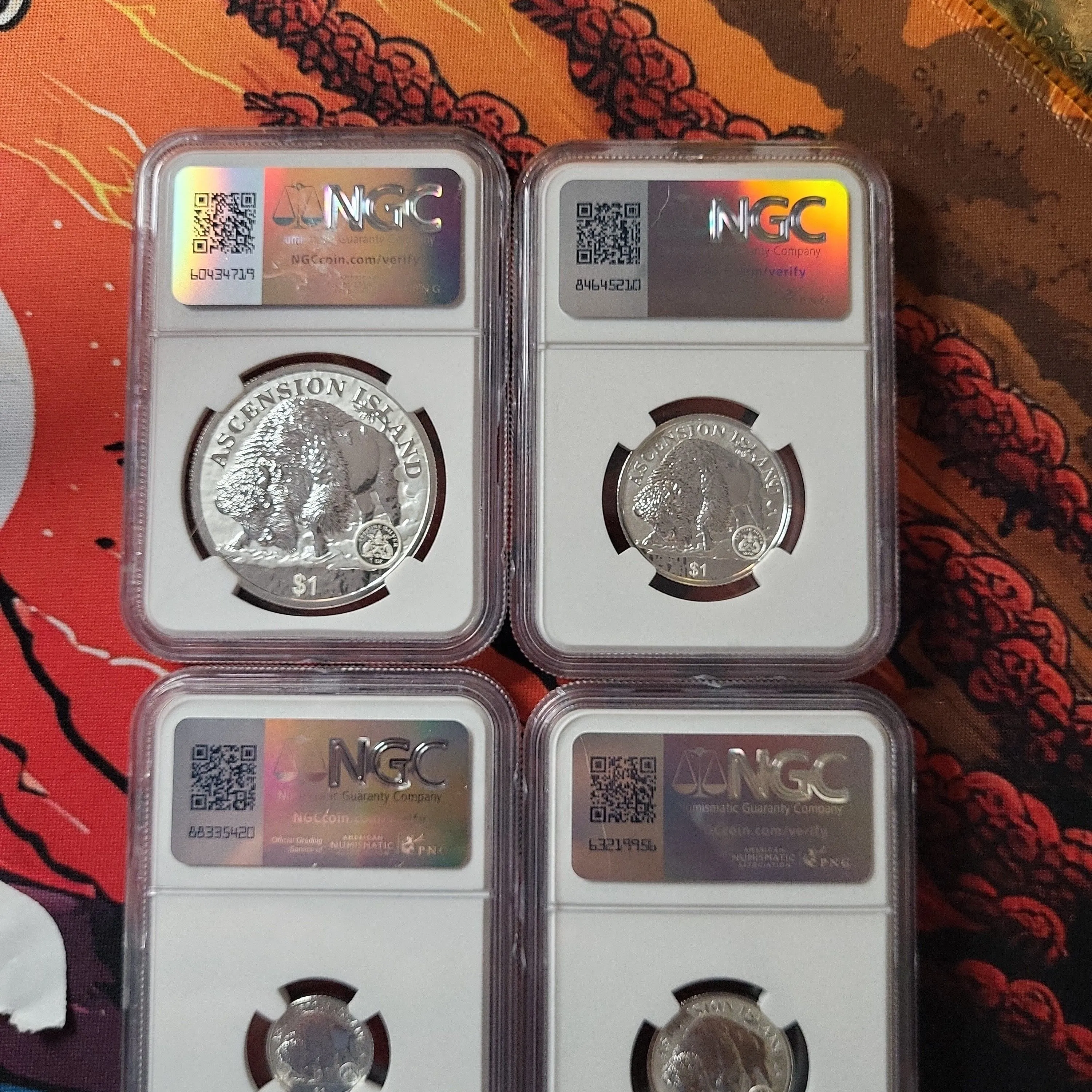 Product image for 2024 Buffalo set reverse proof 70