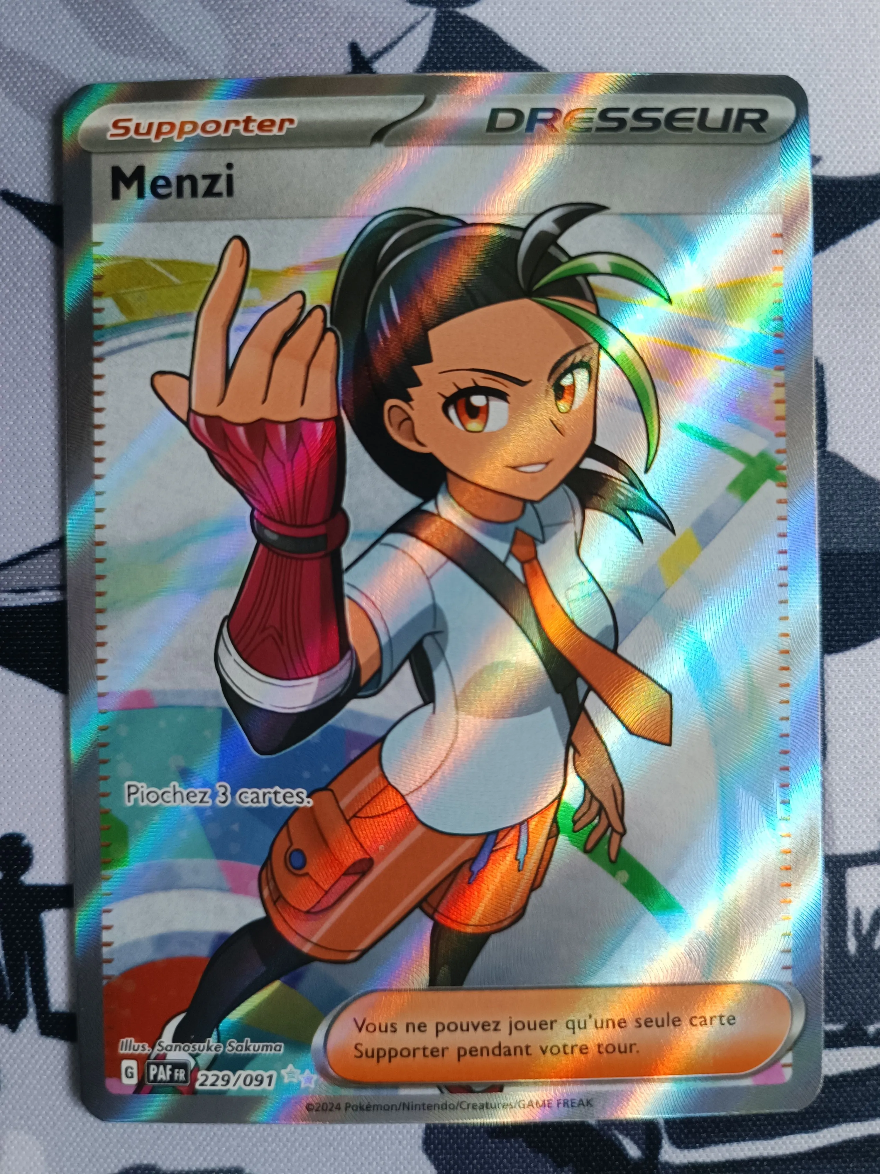 Product image for FR - 89 - Menzi Destinées Pal 229