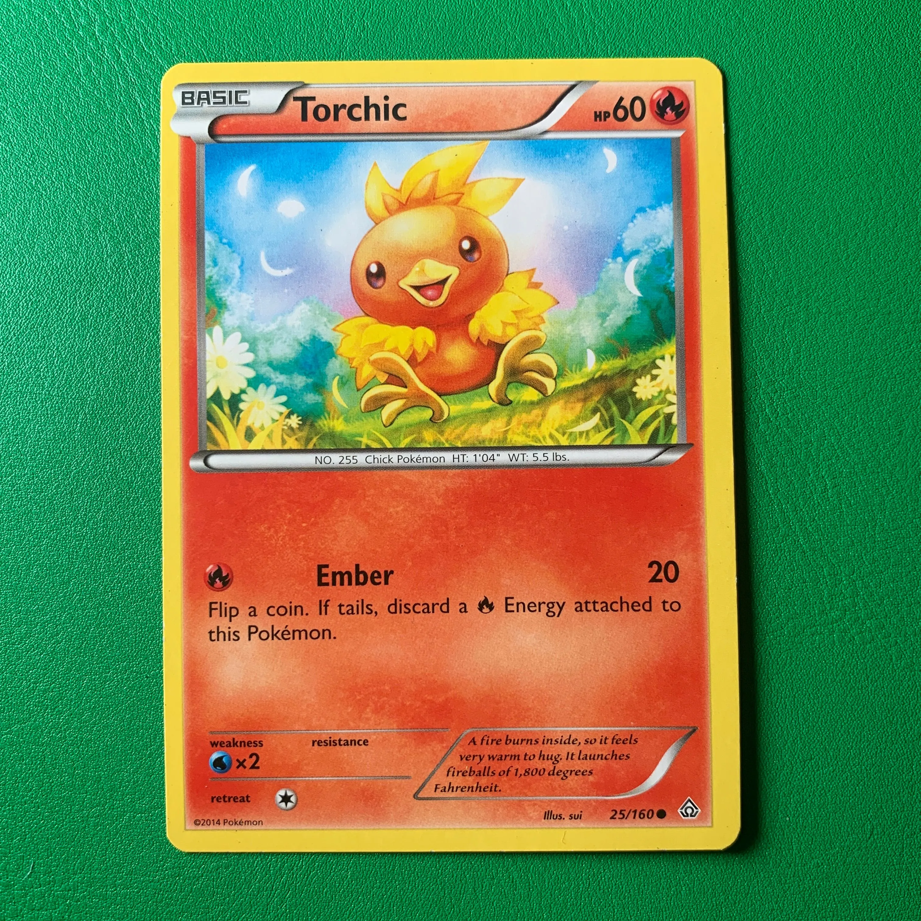 pokemon torchic card Torchic 3D Jumbo Pokemon Card – Embrace Design