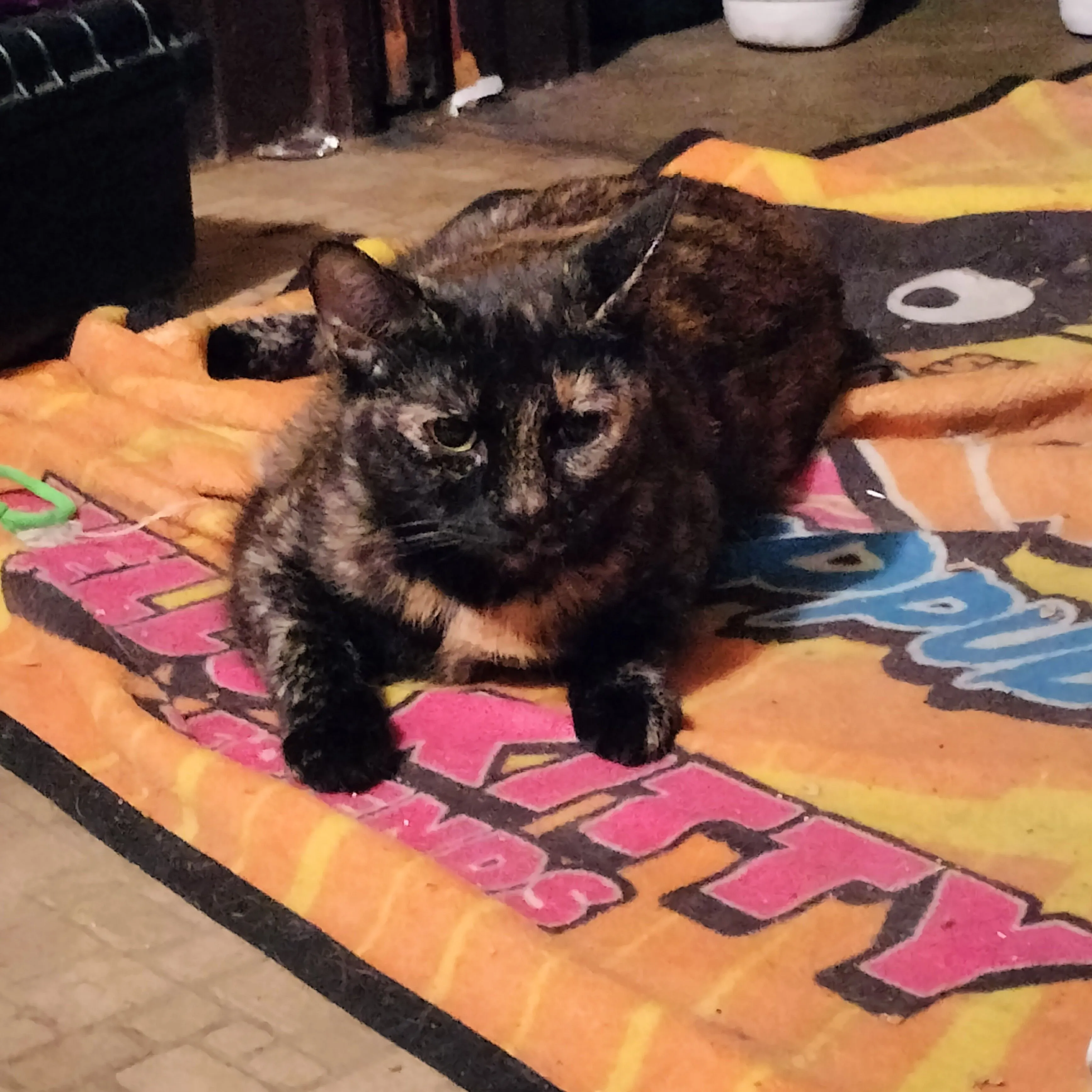 Product image for Luna Demands Crunches Hooman