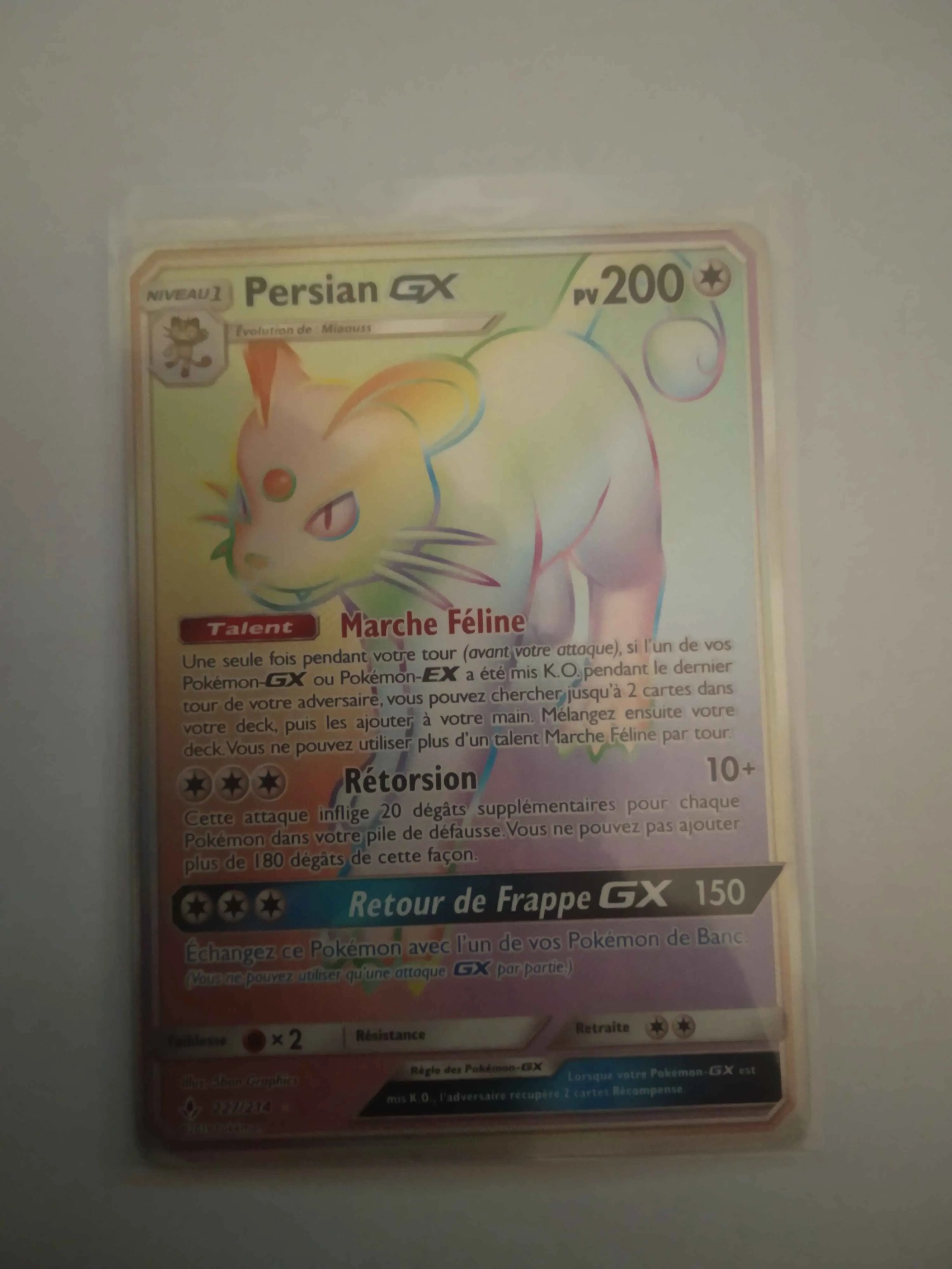 Product image for Persian GX Rainbow