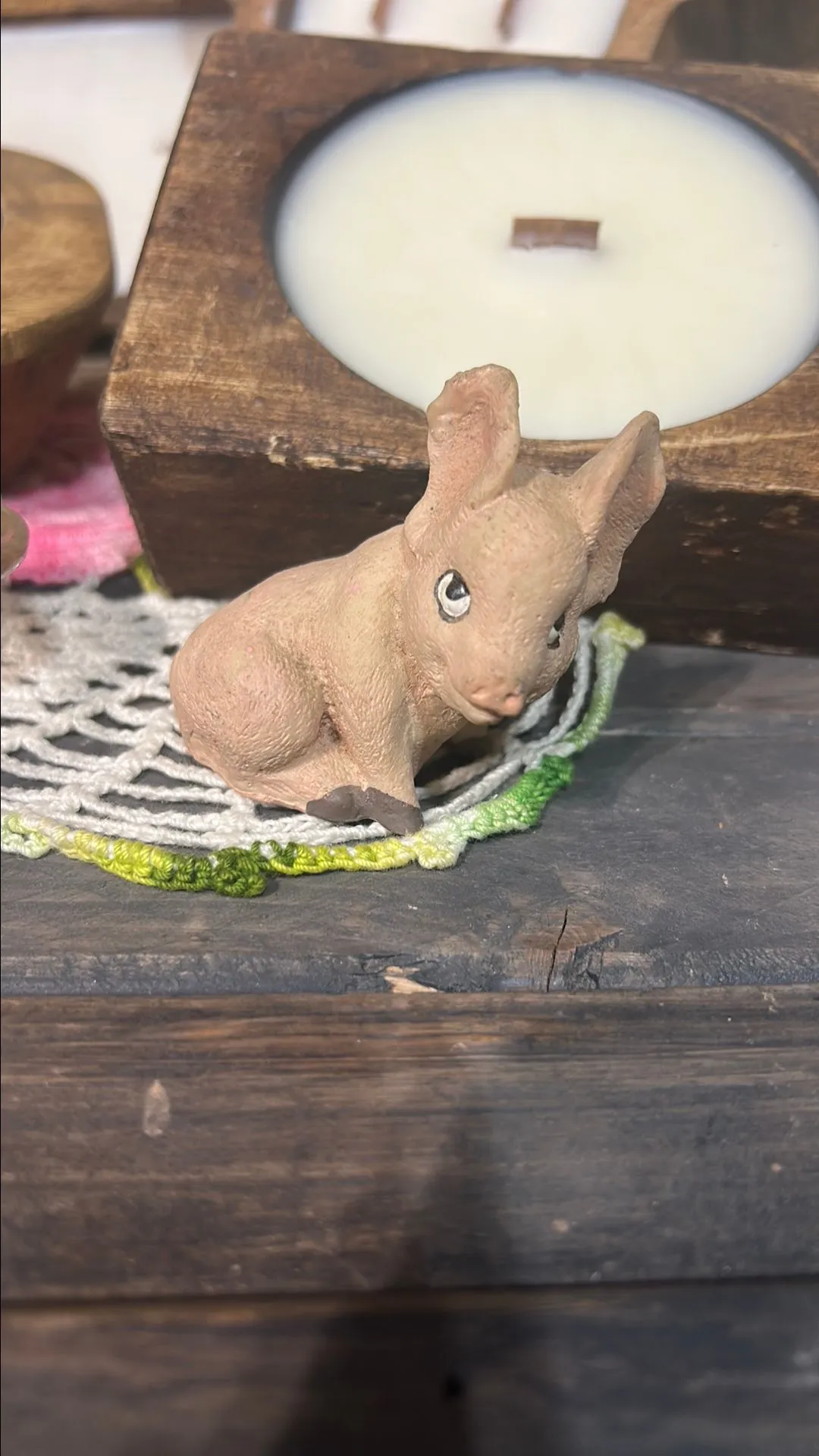 Product image for Mini pig