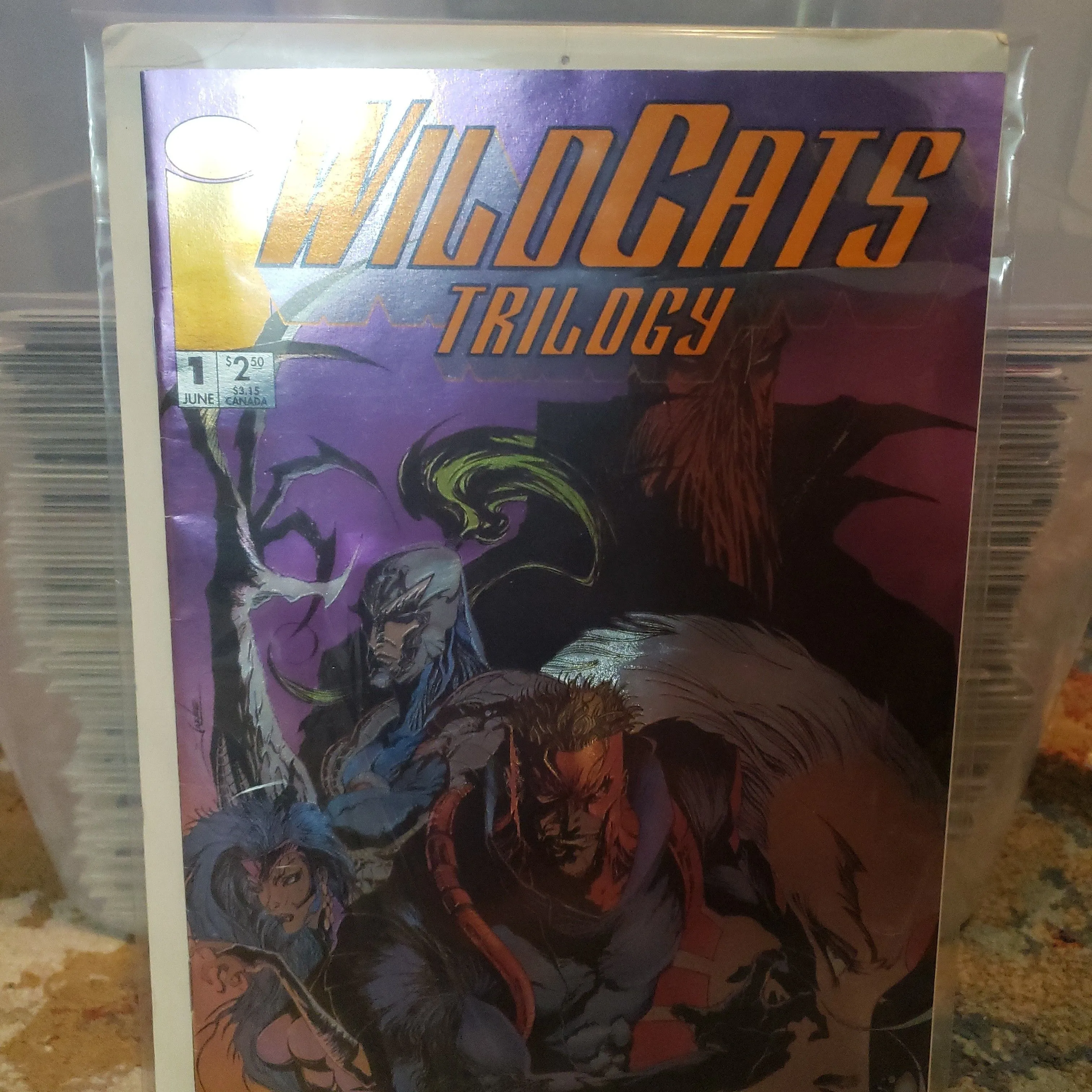 Product image for Wild Cats Trilogy #1