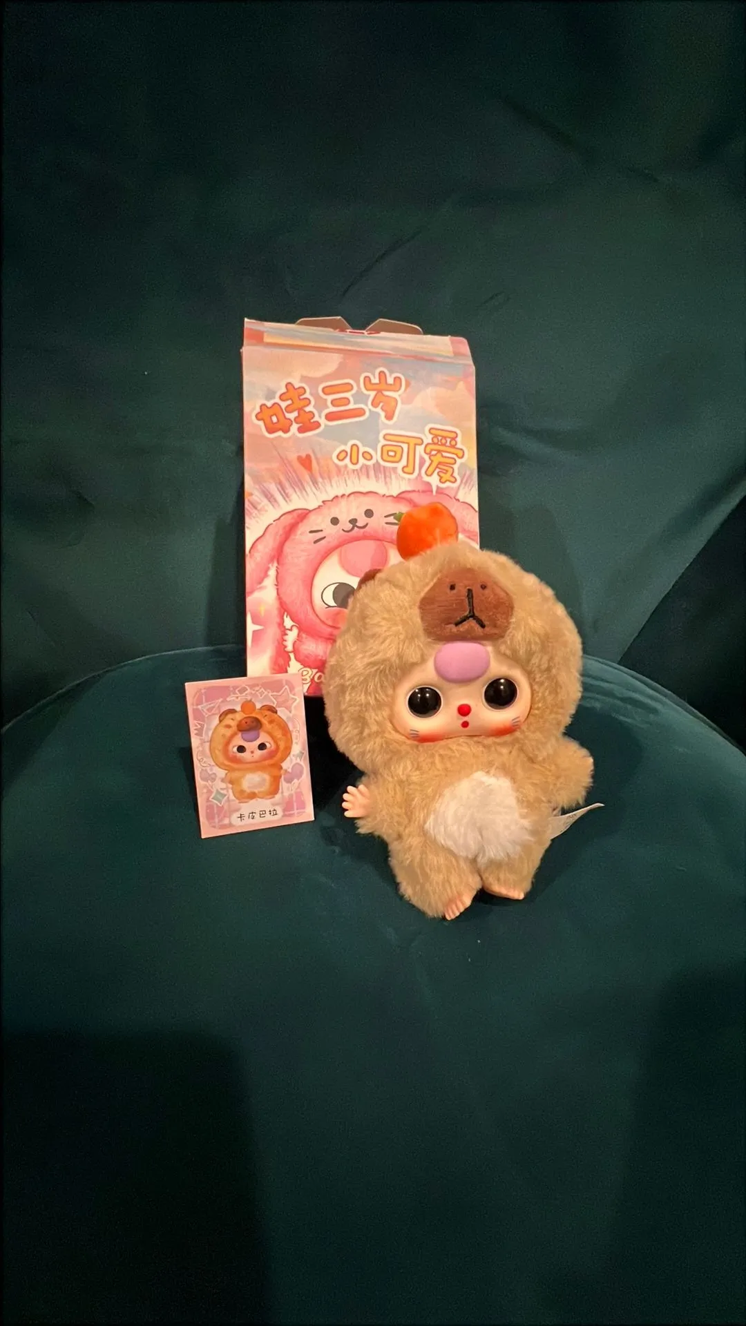 bd0887e2-7565-4e88-981e-7cd8c4d4cac2