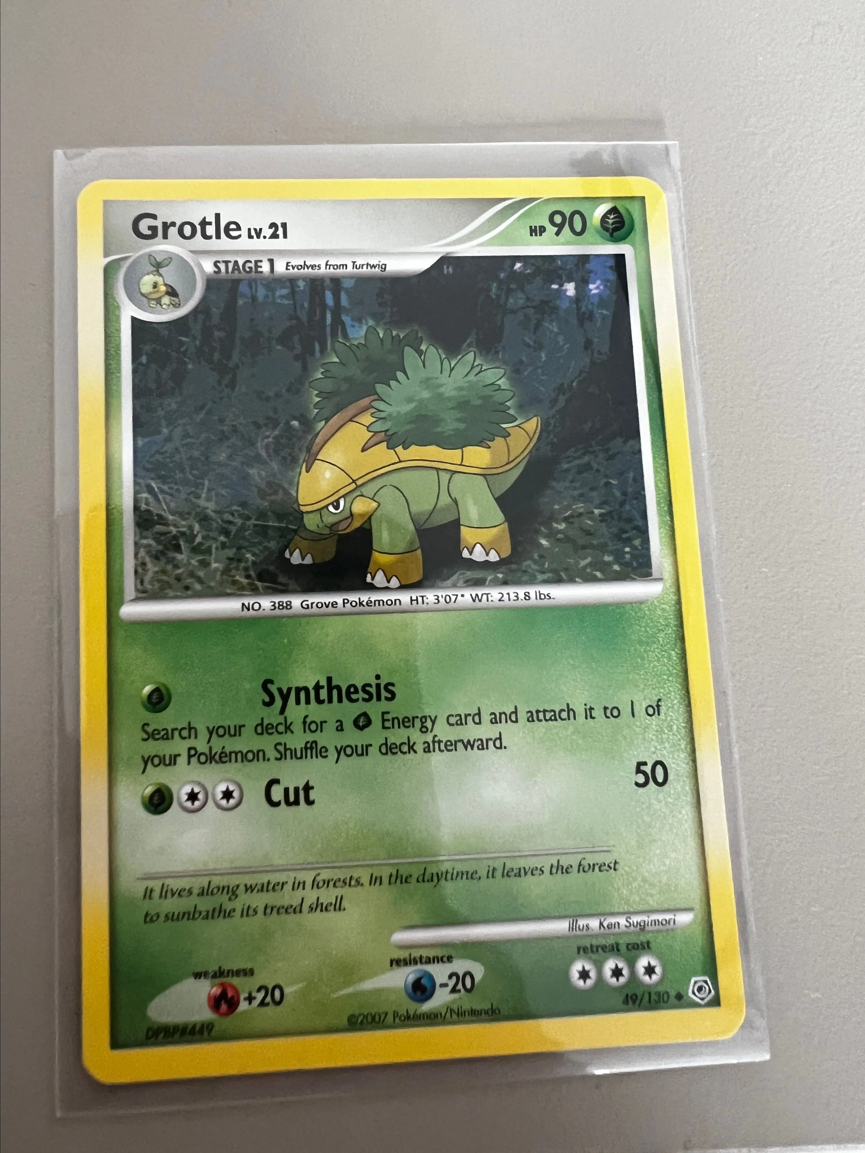 pokemon grotle card Pokemon Grotle S12a 007/172 Card Japanese JAPAN Release – AKIBA JUNKY  ONLINE SHOP main image 0