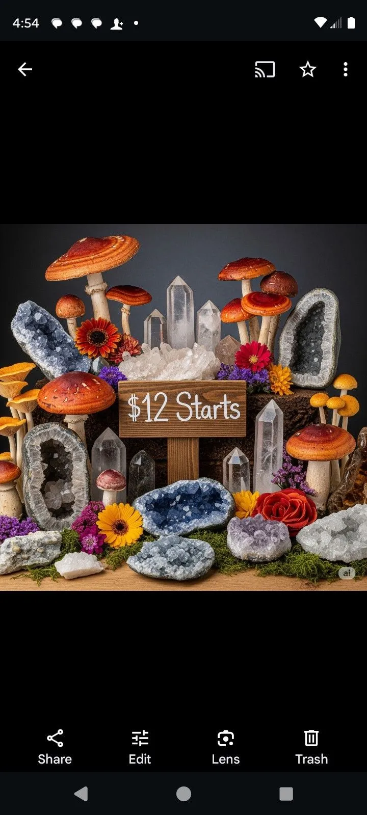 Product image for $12 Starts ( 12-15 )