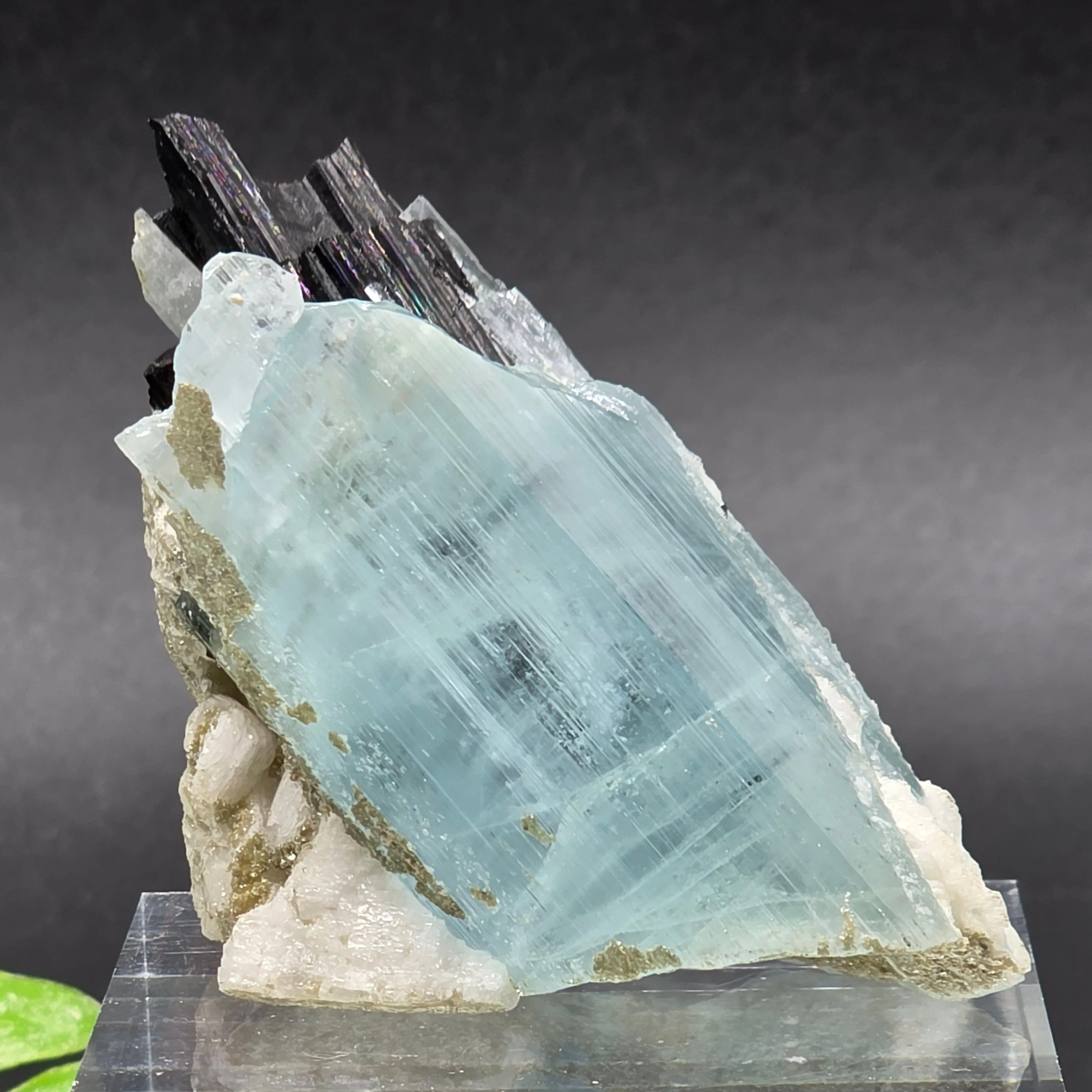 Product image for #483 Aquamarine with Black Tourmaline Pakistan