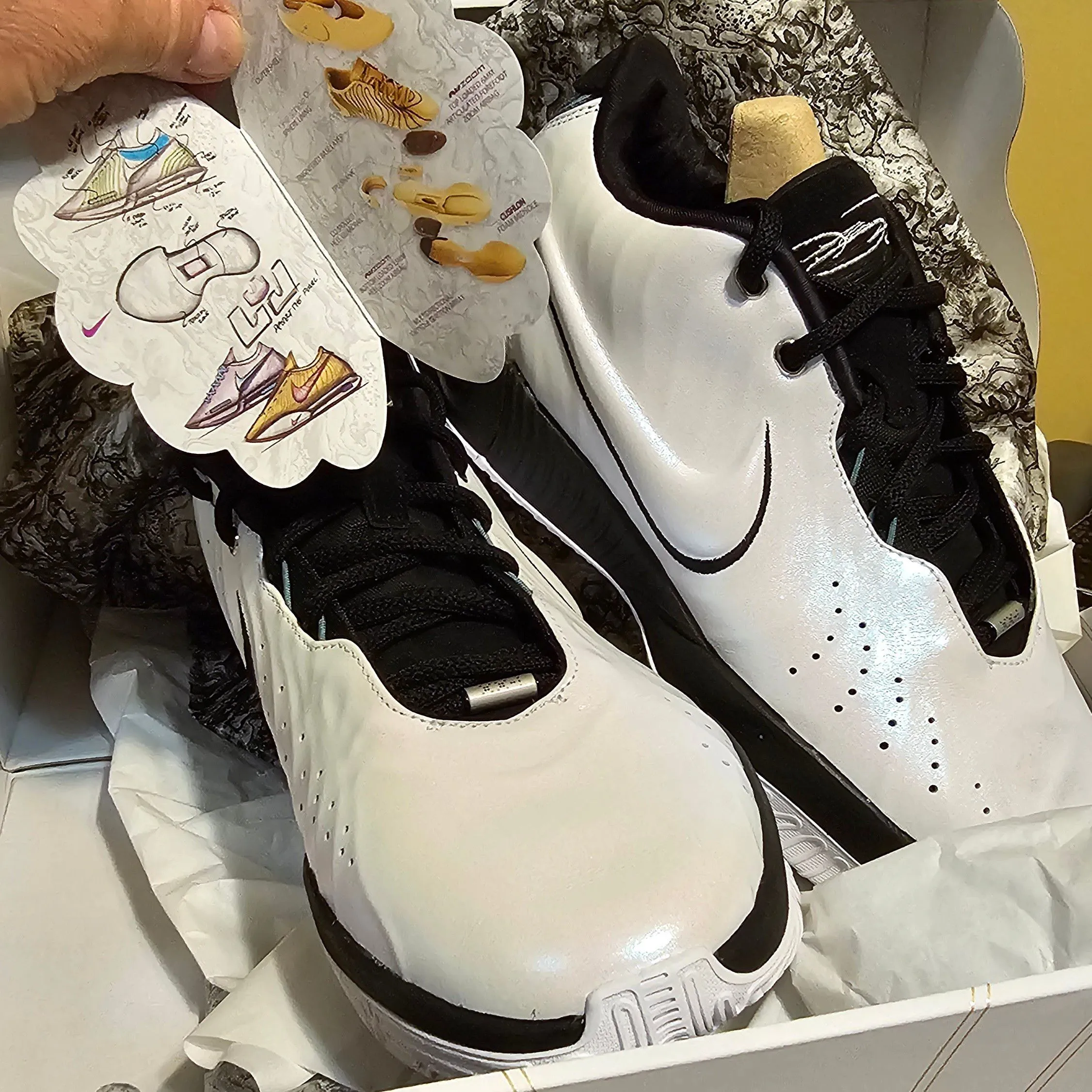 Product image for lebronon xxI size 11us mens NIB