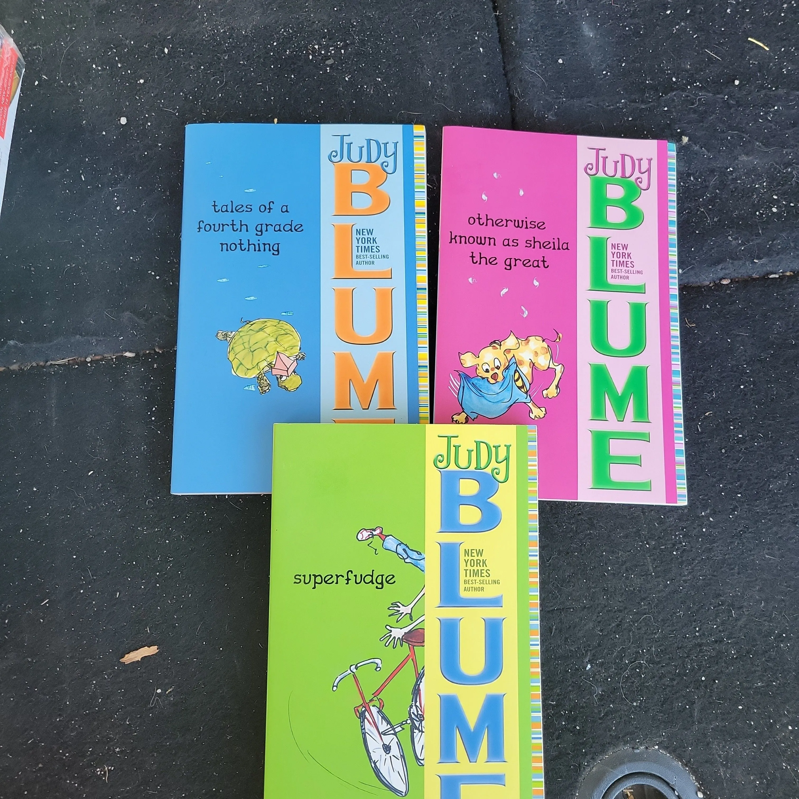 Product image for 3 Judy Blume Lot