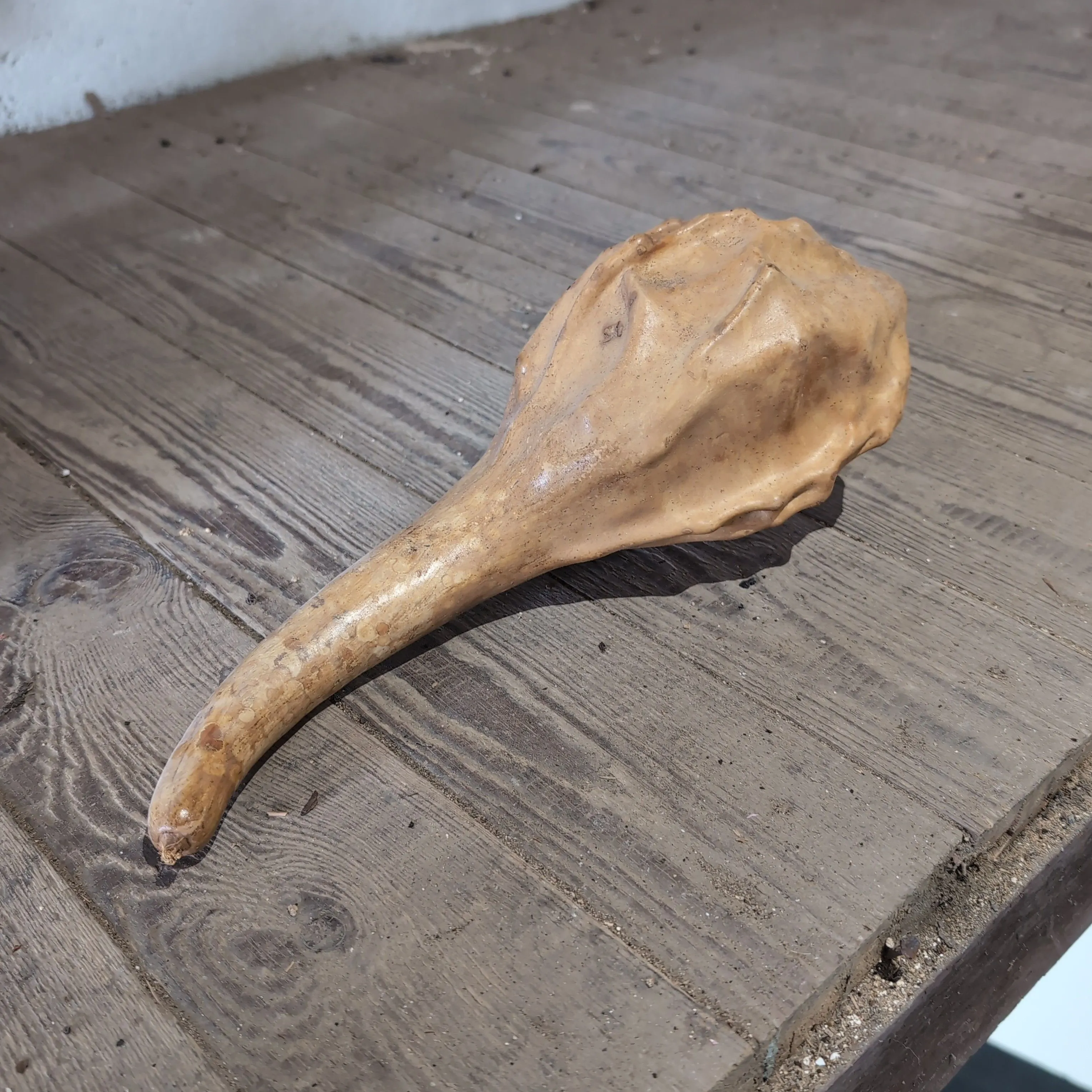 Product image for unusual gourd 10in