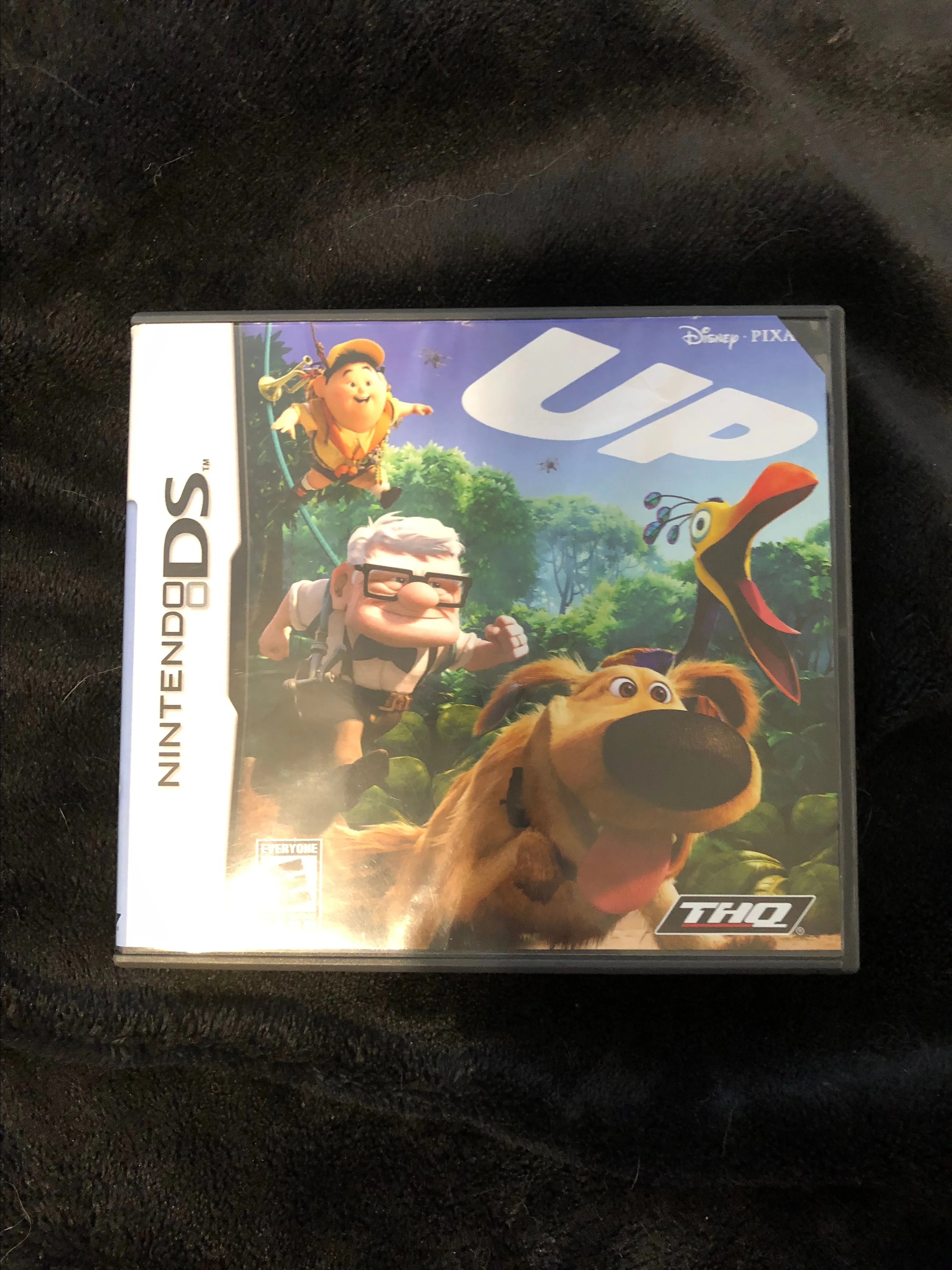 Product image for DS Disney Pixar Up