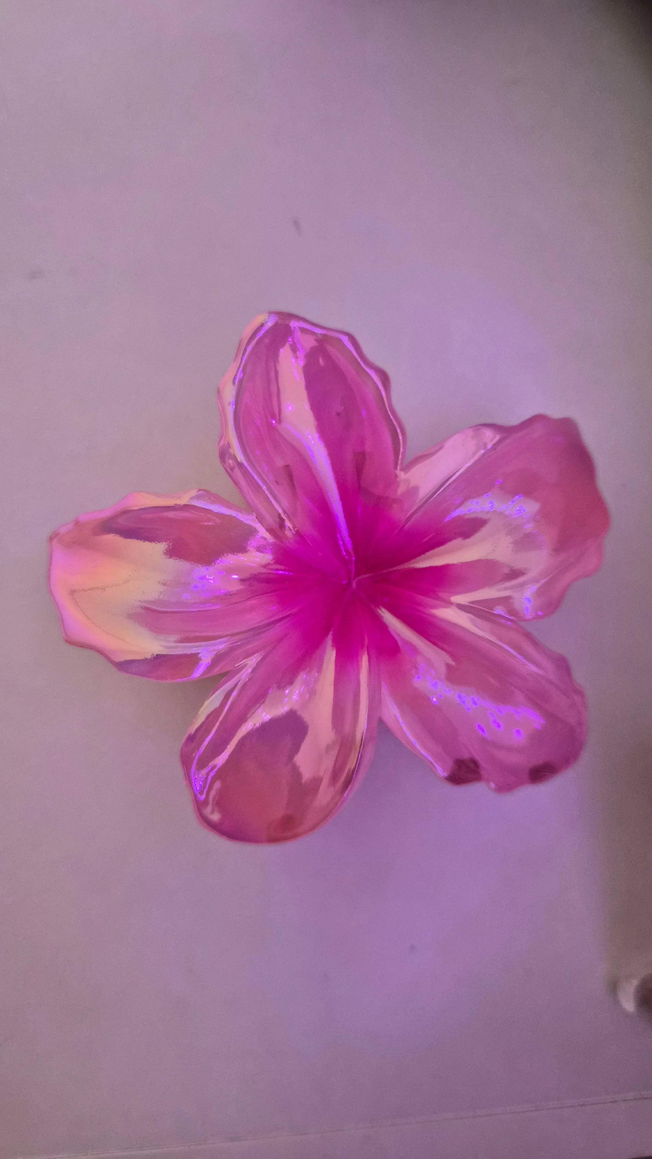 c4d7c8db-8627-4c31-8c12-beced54bd451