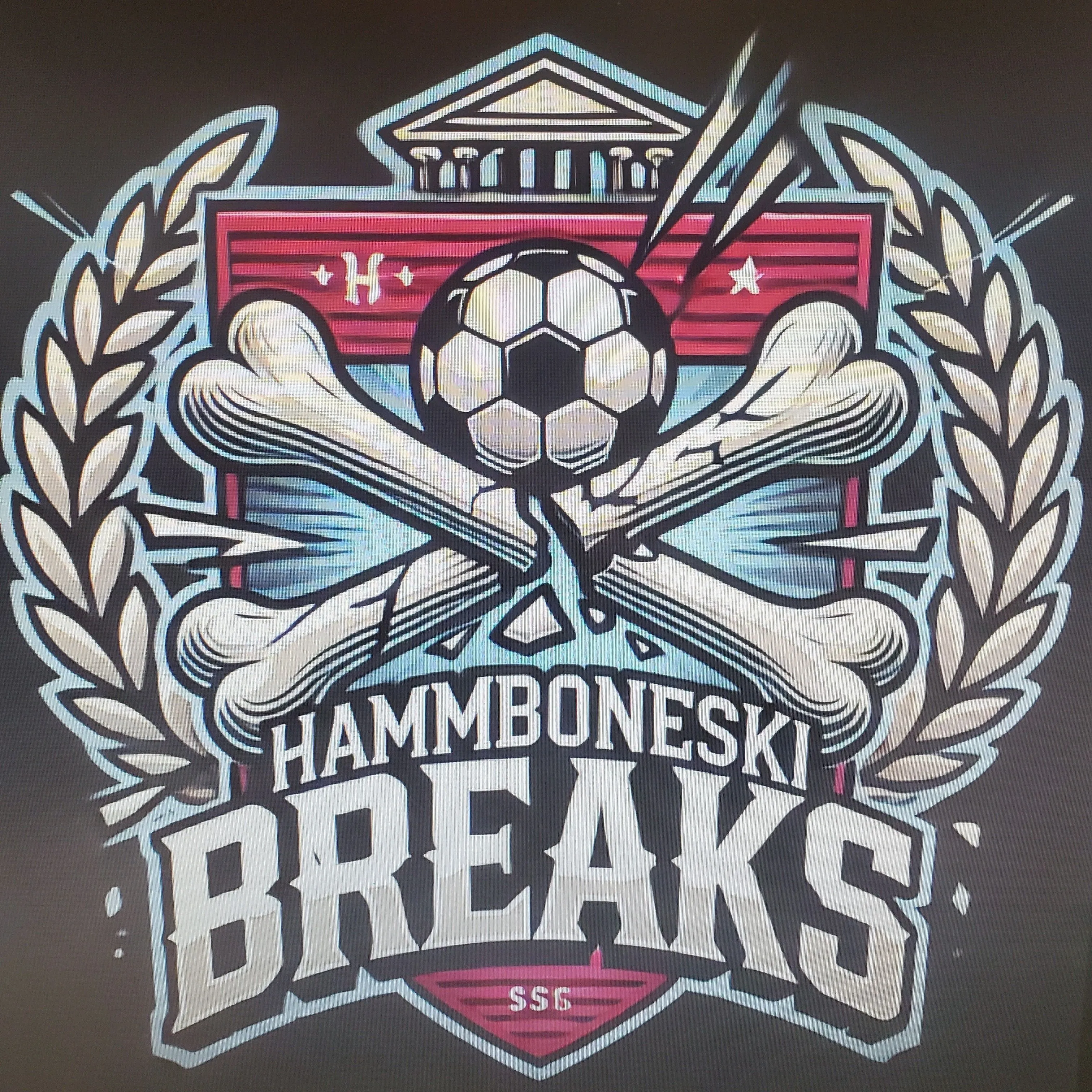 Product image for HAMMBONESKI STICKER