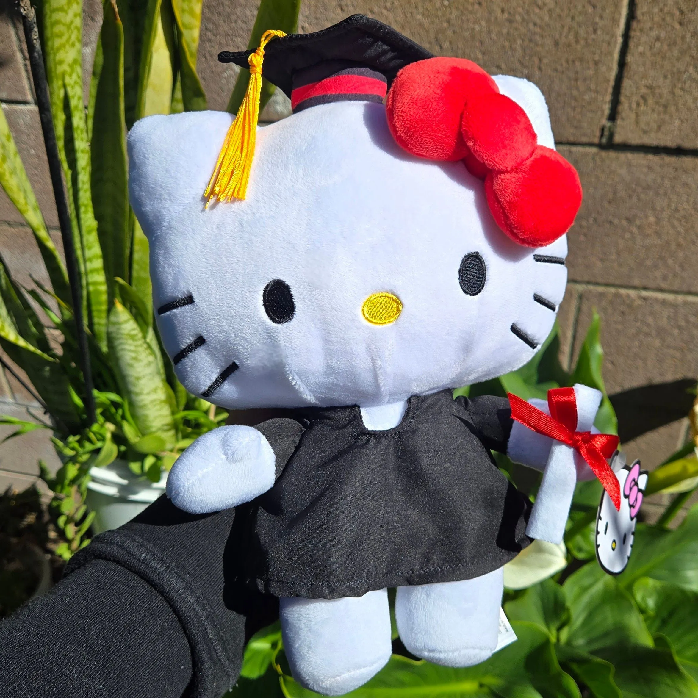 Product image for Hello Kitty Graduation Plush