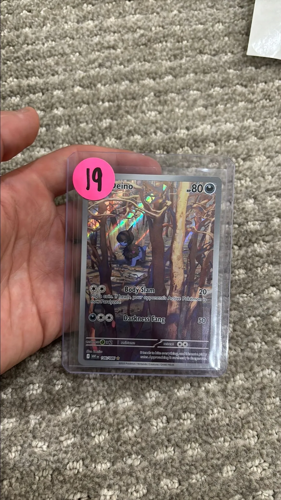 c6481afe-e763-437a-b8af-331f0bb69ca6