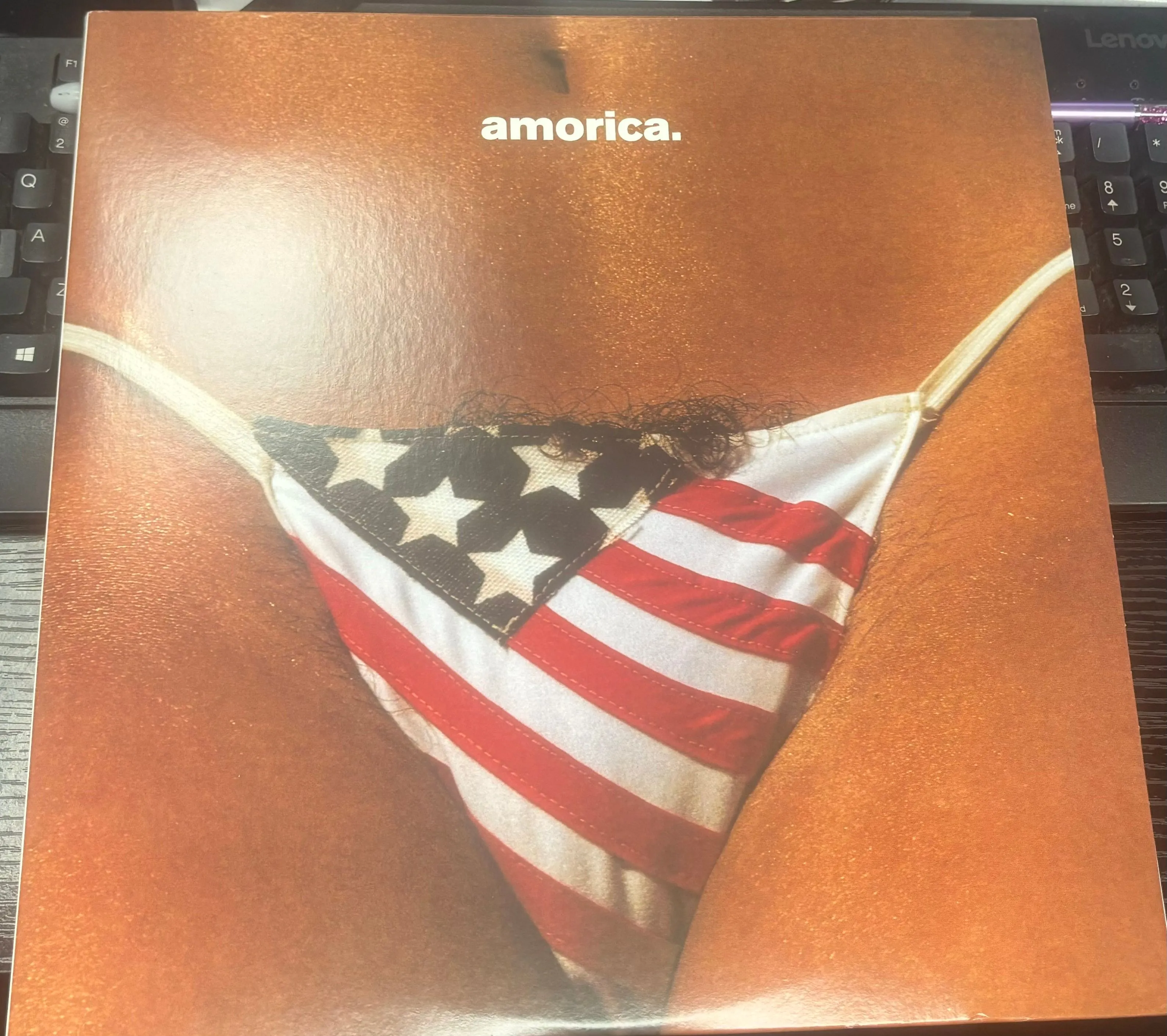 Product image for The Black Crowes - Amorica LP