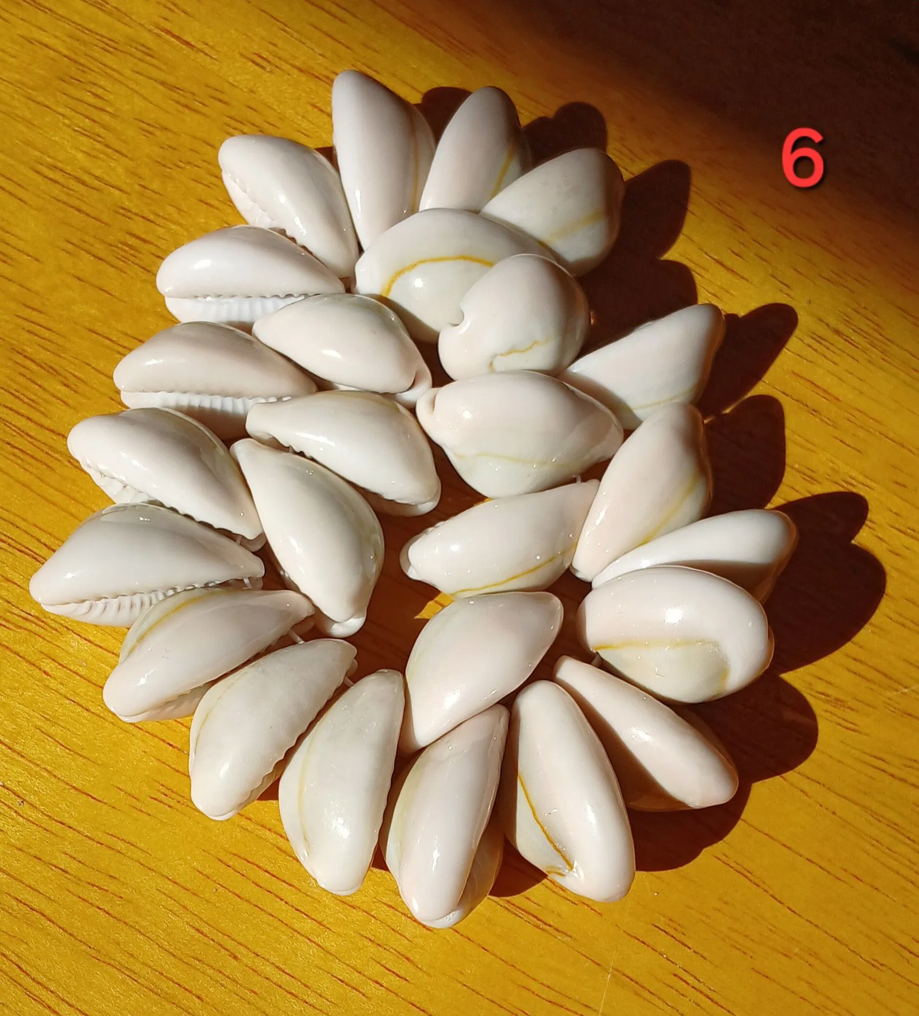 c83c8b17-00b5-4809-bc66-5bceb56871b0