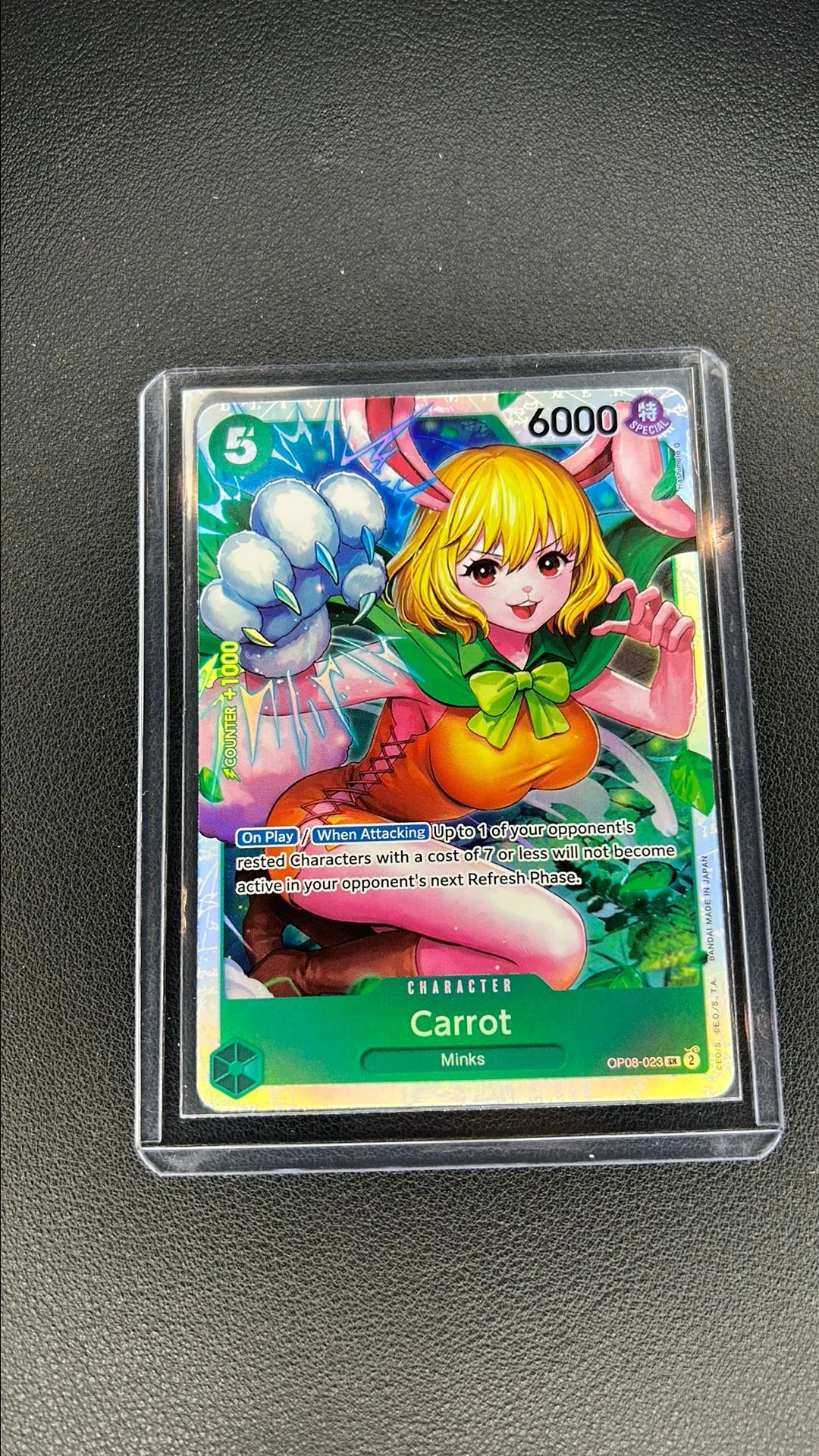 Product image for 2024 Carrot
