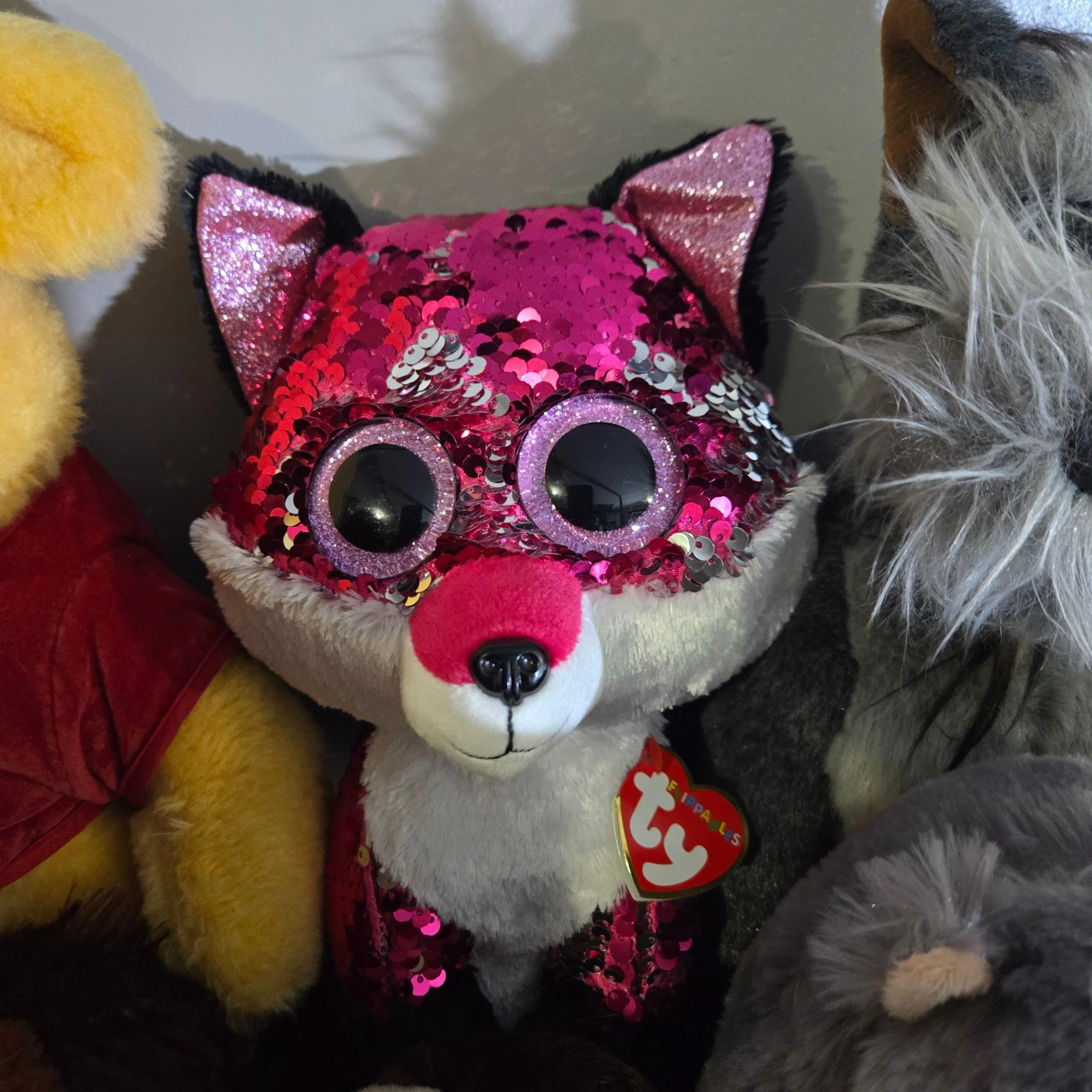 Product image for TY Raccoon 