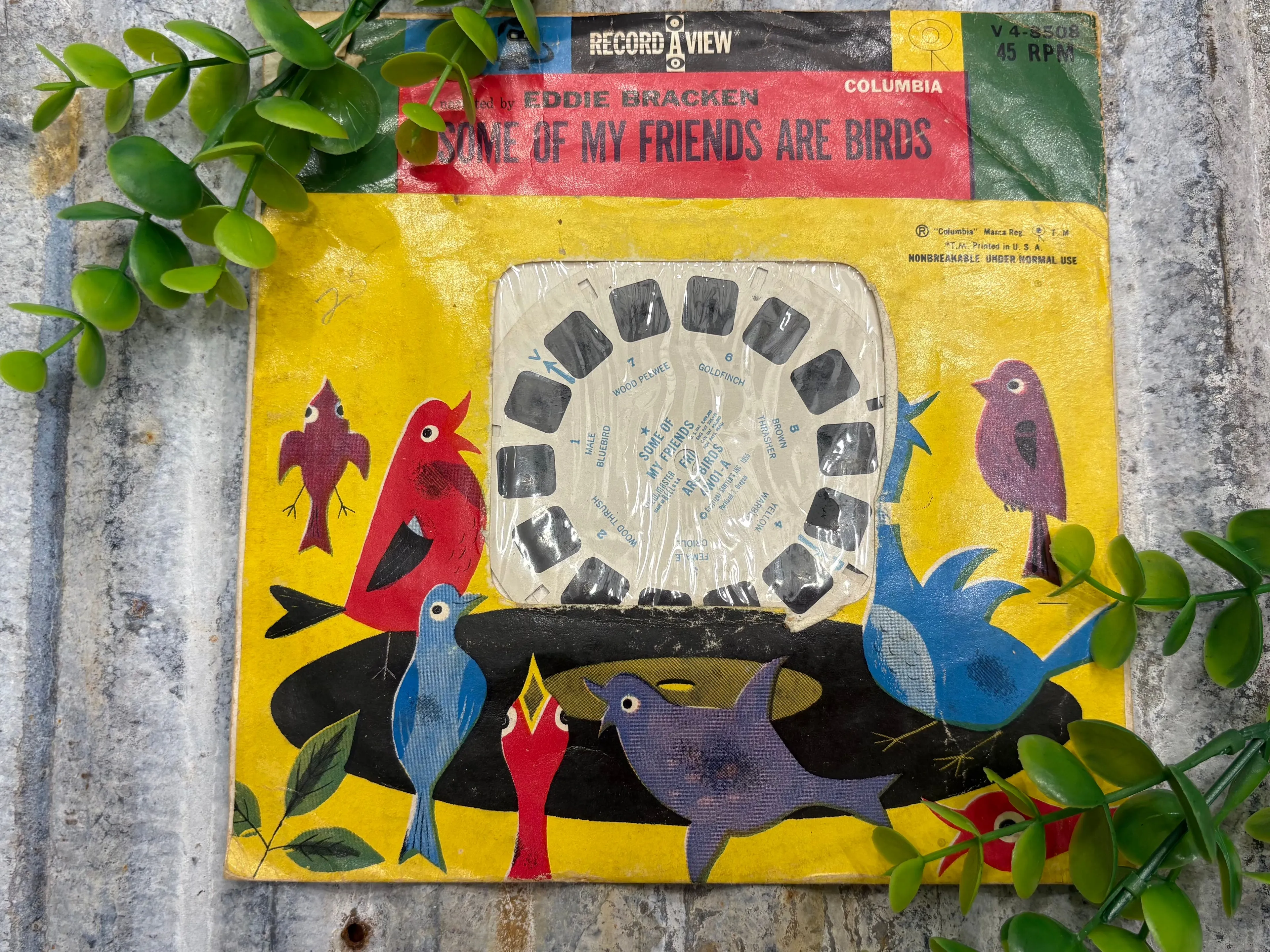 Product image for Some of my friends are birds