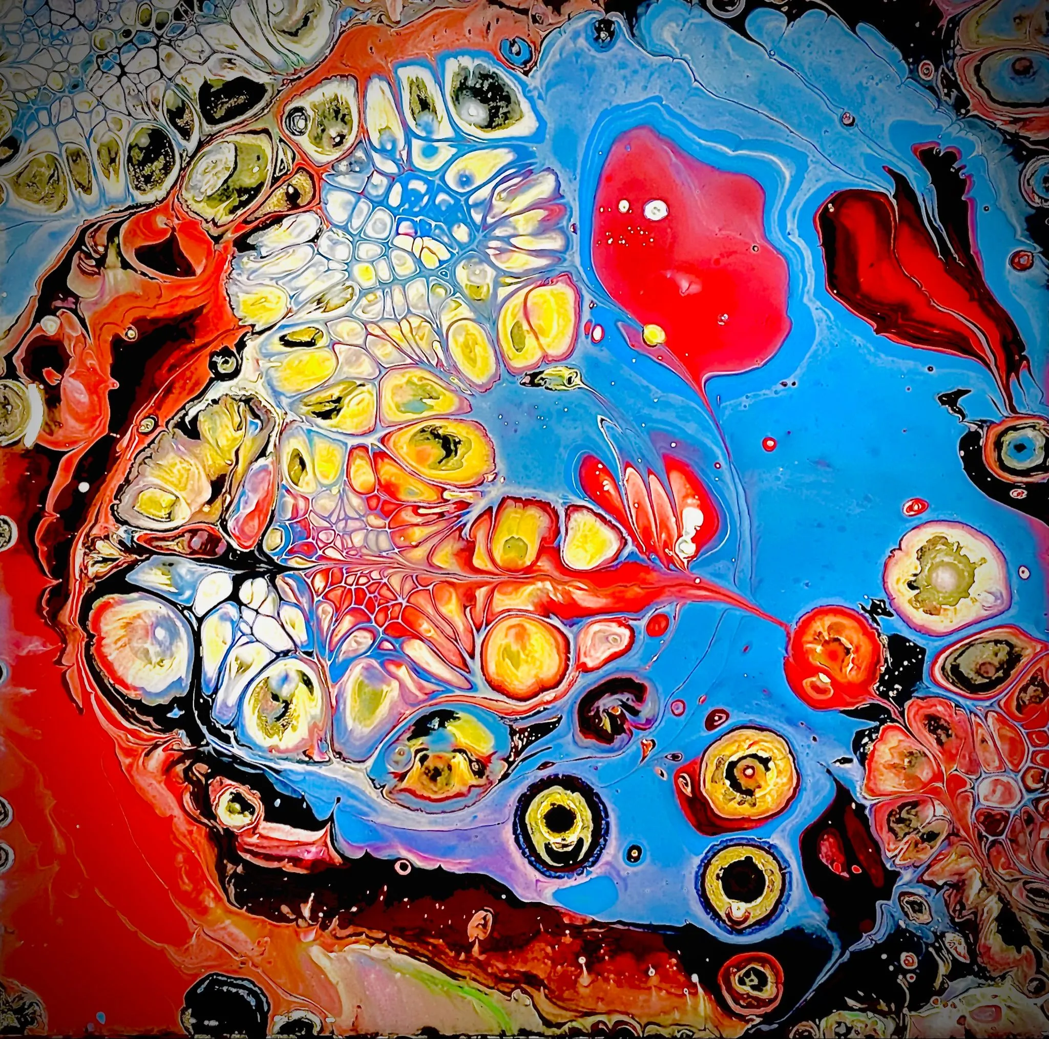 c9c6c8e7-bca9-4c2e-ad41-87d2208feb5b