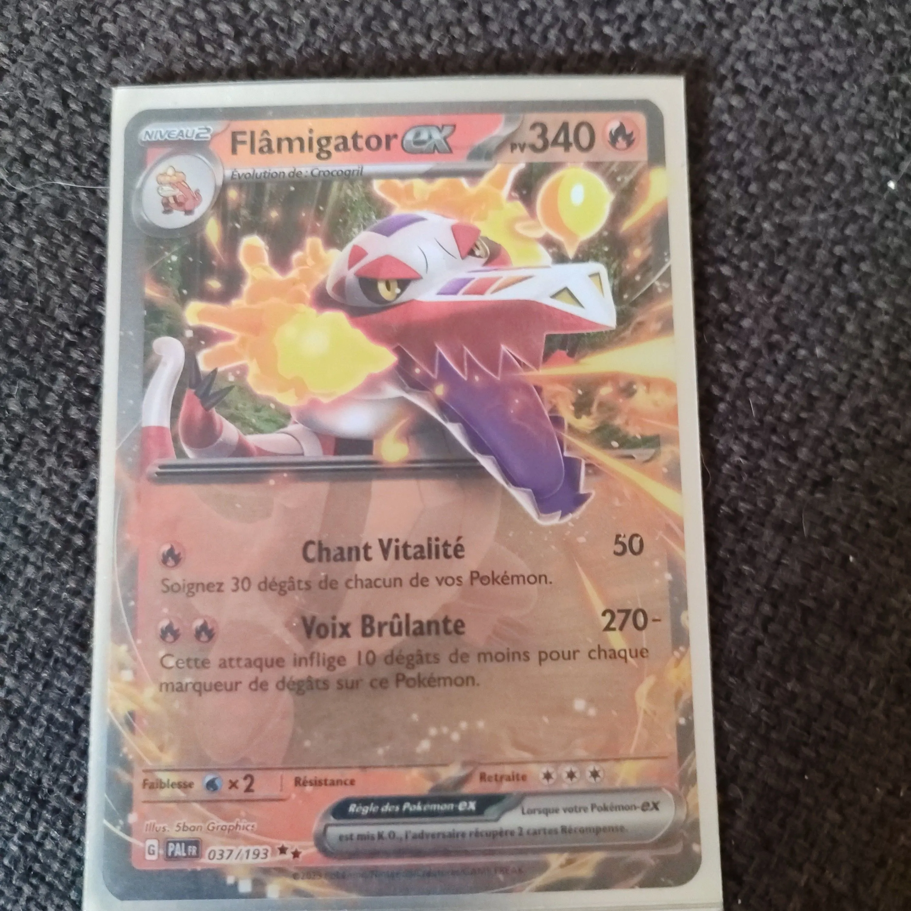 Product image for flamigator Evo paldea