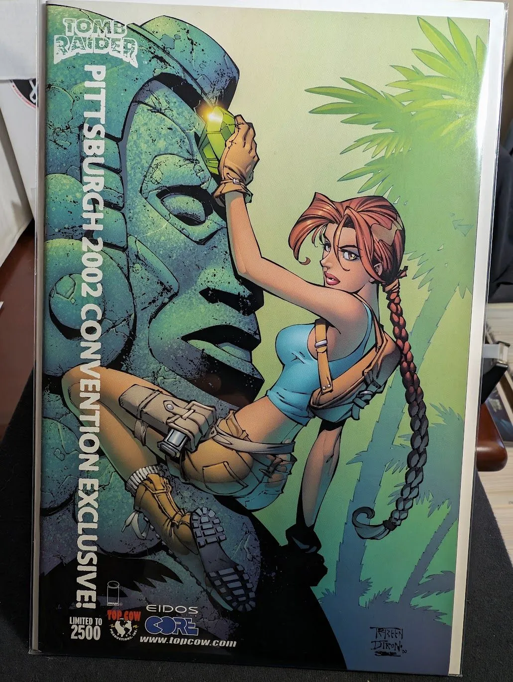 Product image for Tomb Raider #21B
