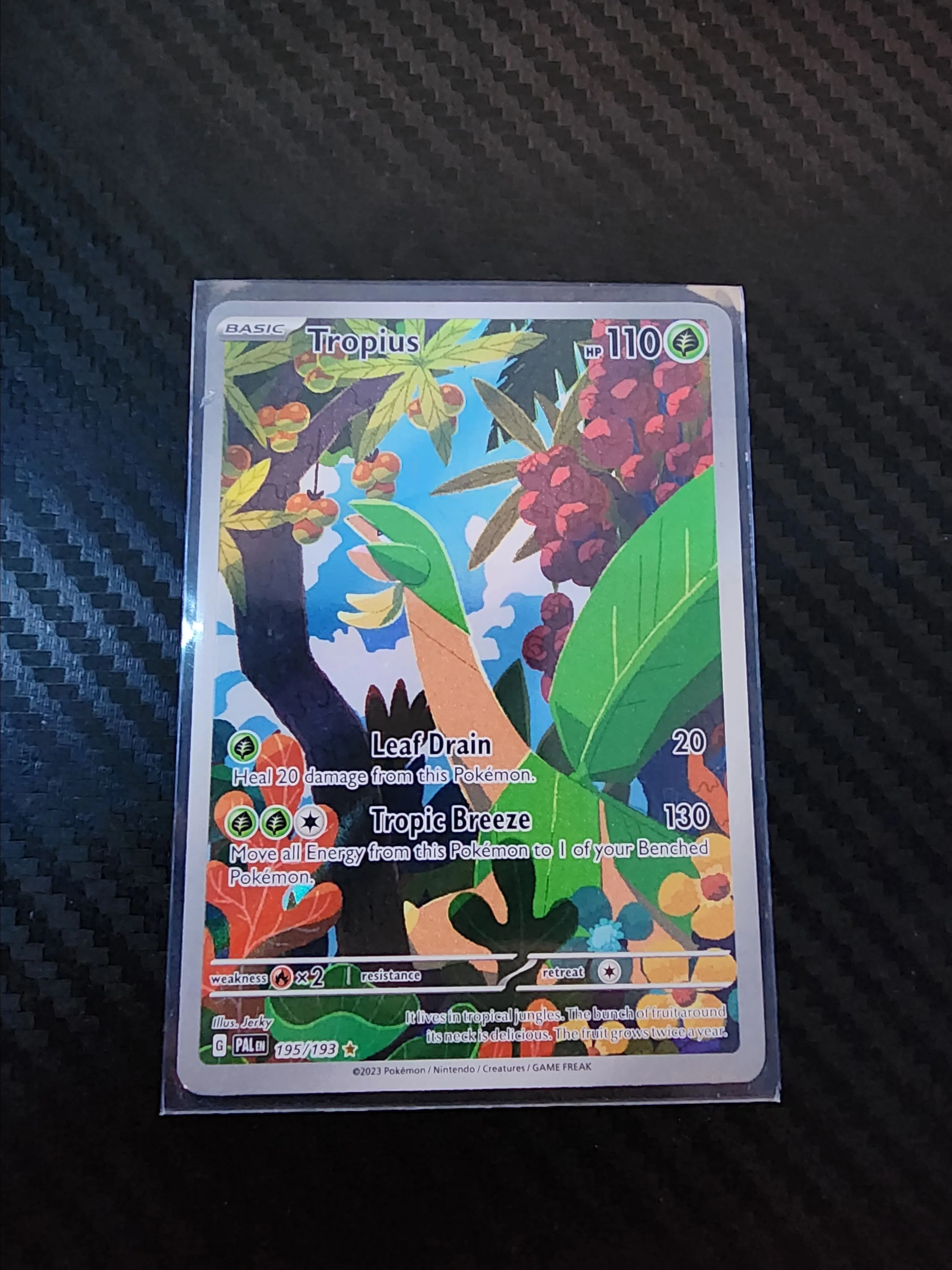 pokemon tropius card Pokemon - Tropius (12/108) - XY Roaring Skies main image 0