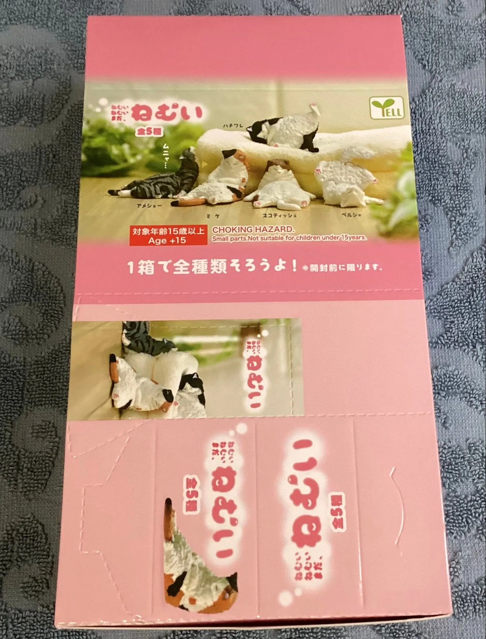 ca54936f-2d23-4c0d-94f9-8d549a3e9ba4