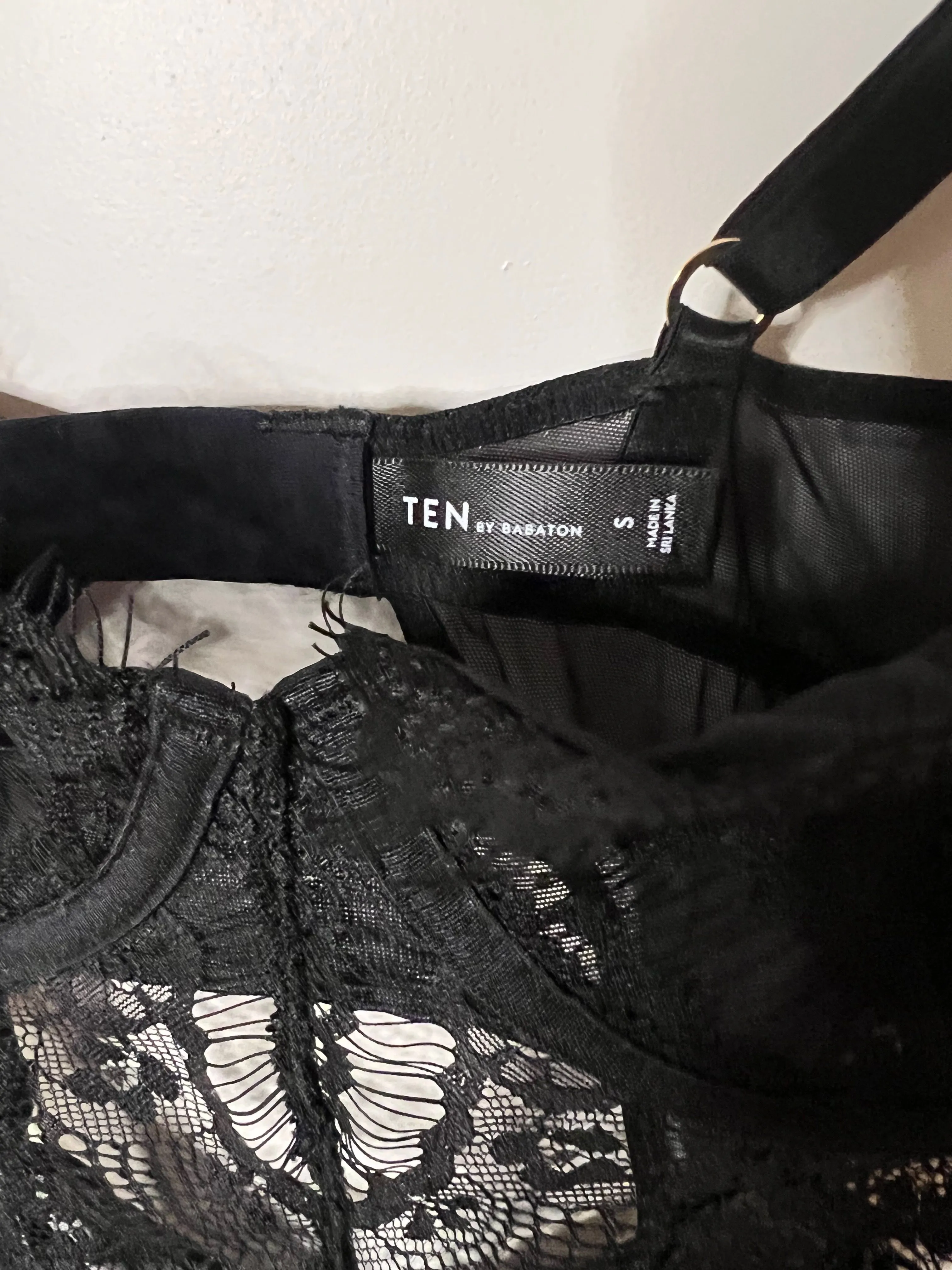 Aritzia: Ten by Babaton Lace Encore Bodysuit1