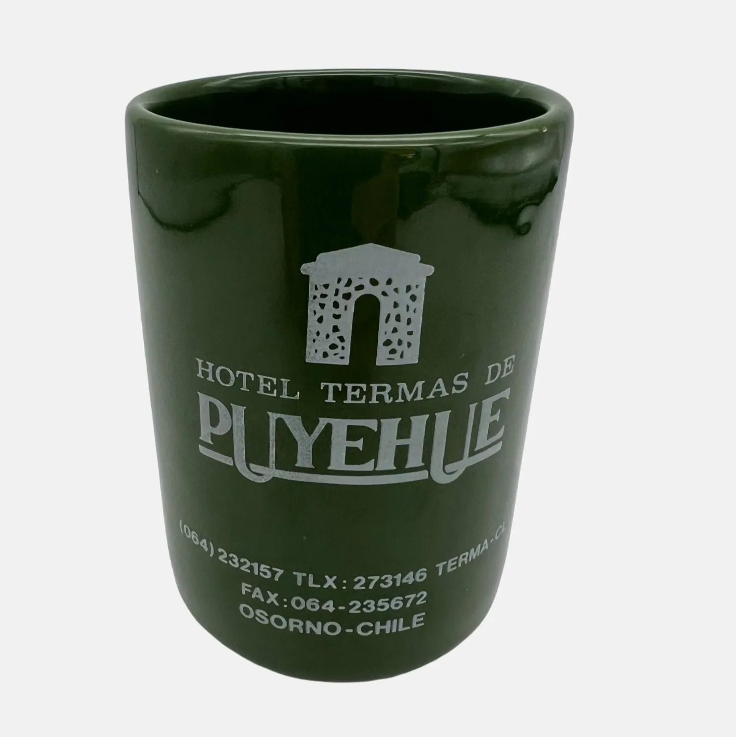Product image for 1990 Green Mug Hotel Termas De Puyehue Chile Onetto Accountants Conference