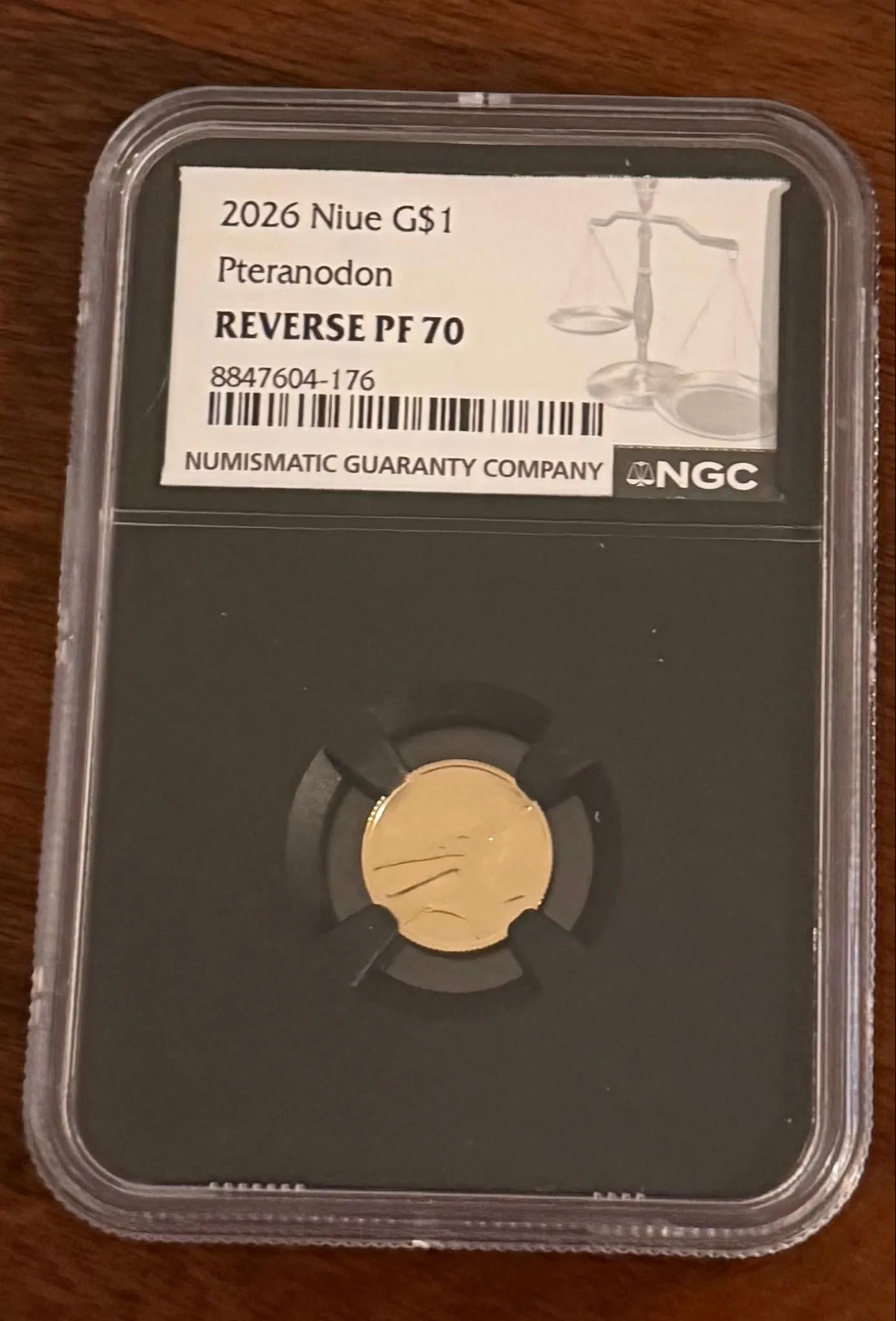 cb1976cd-a8a1-44e2-893e-0a50f9f33fda