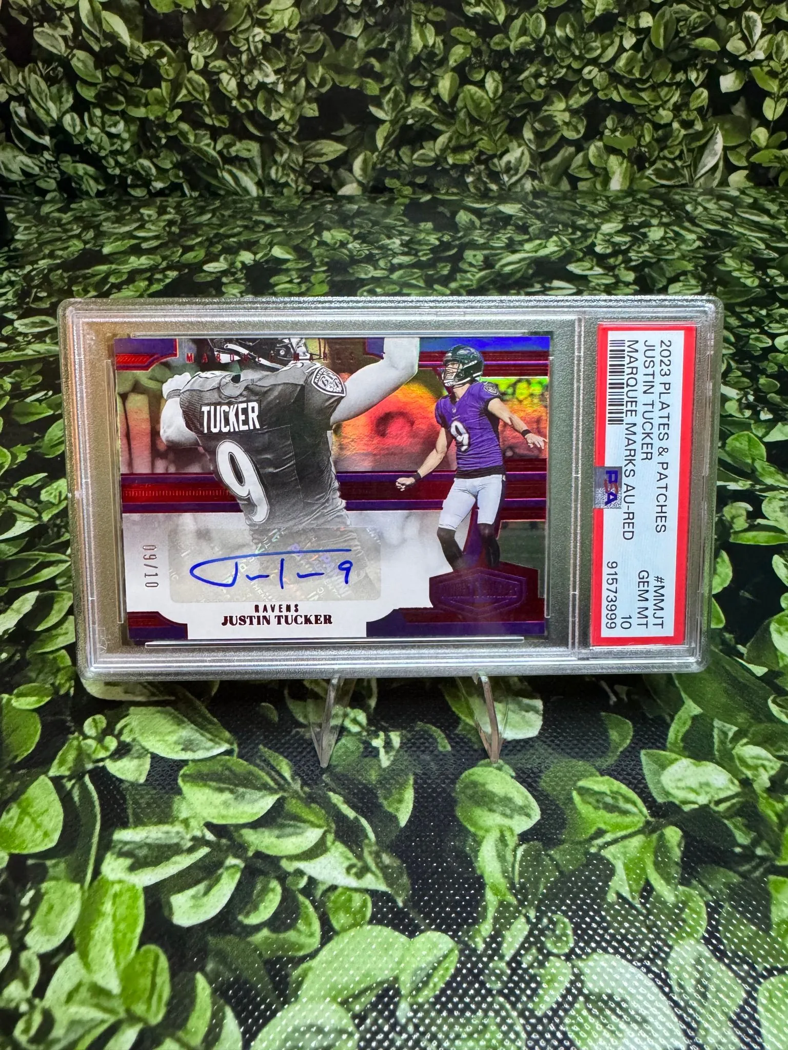cd03bd29-3a6e-4ecf-b5d5-394e4e28aeac