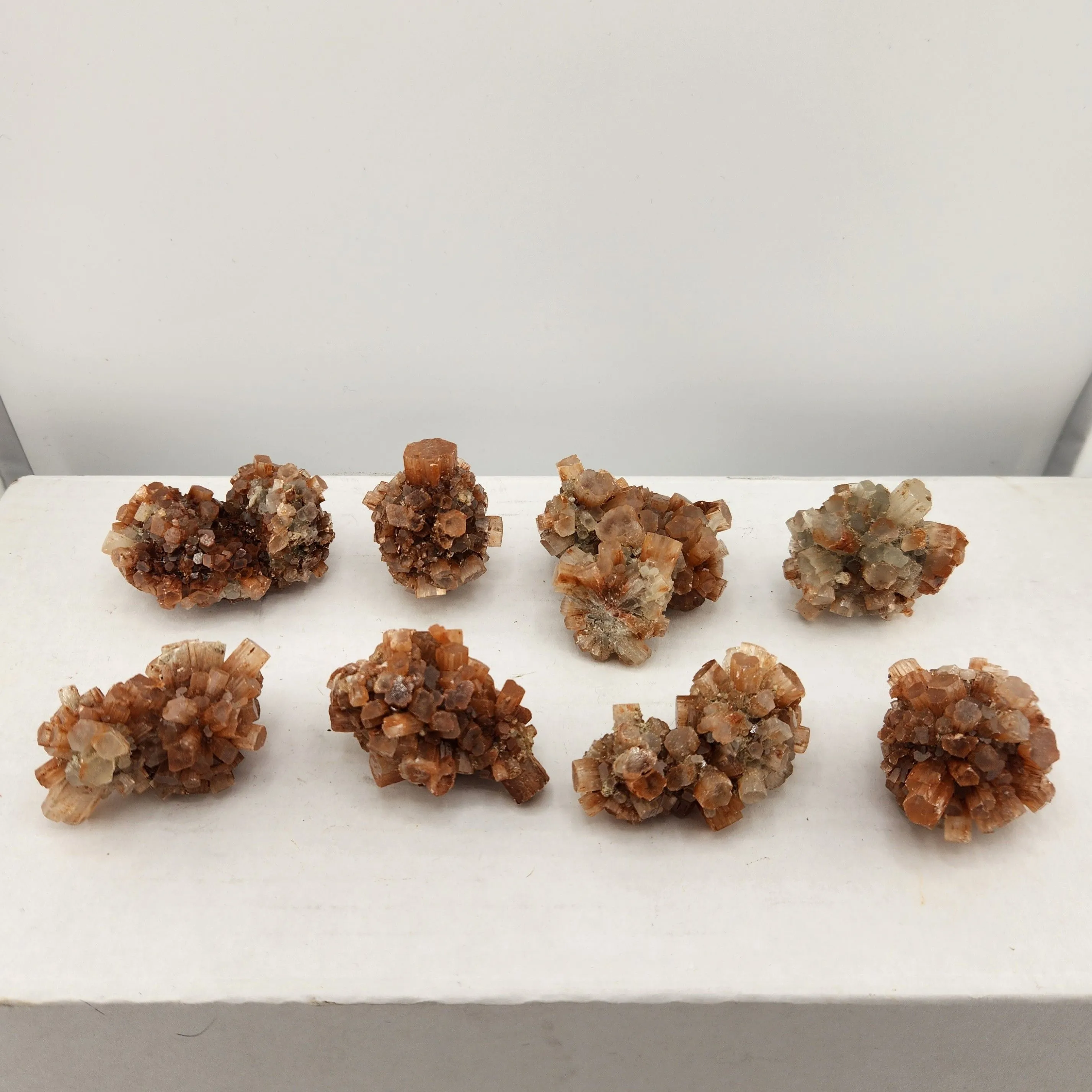 Product image for Aragonites