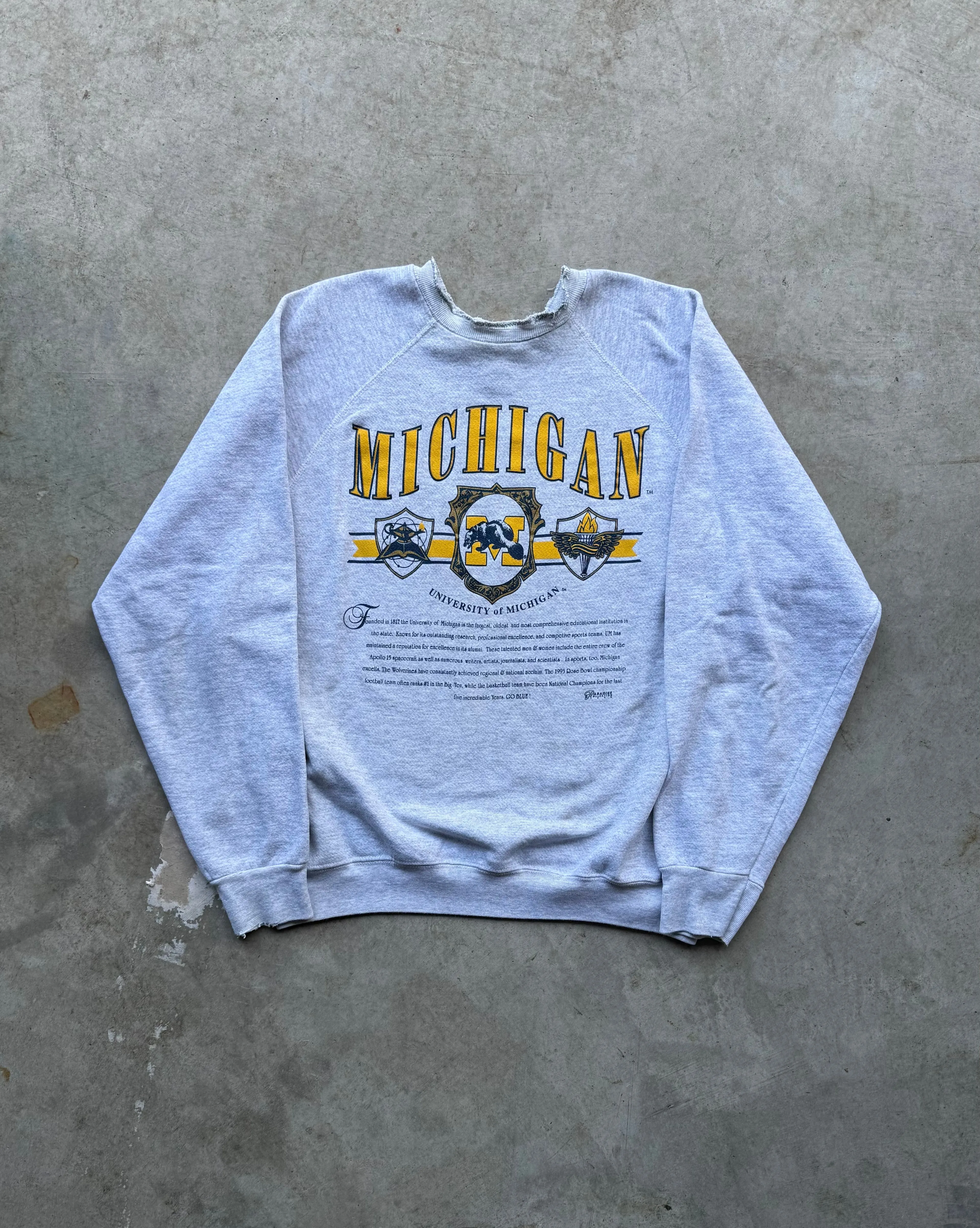 Product image for 90s Michigan crew