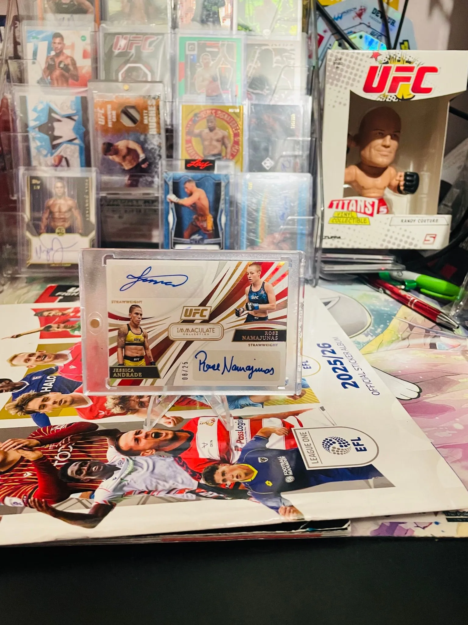 ce47008b-d82c-407d-8f37-83d91cce37af