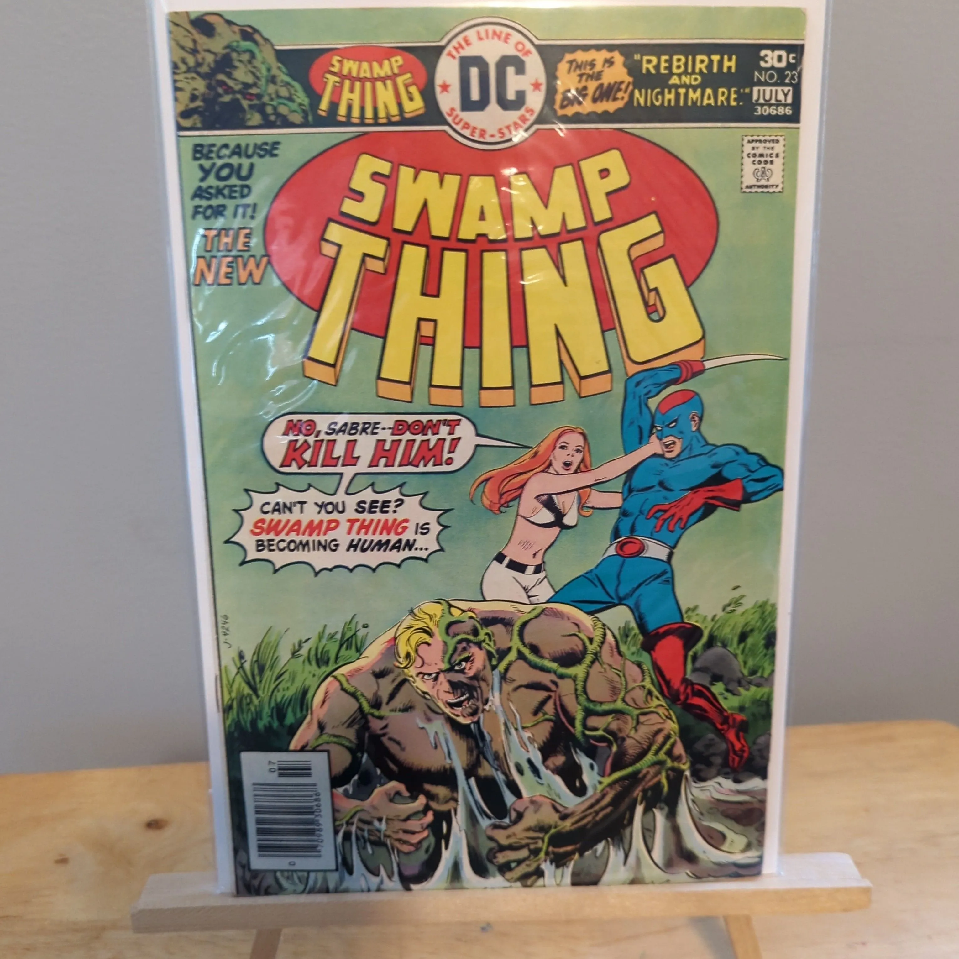Product image for Swamp Thing #23