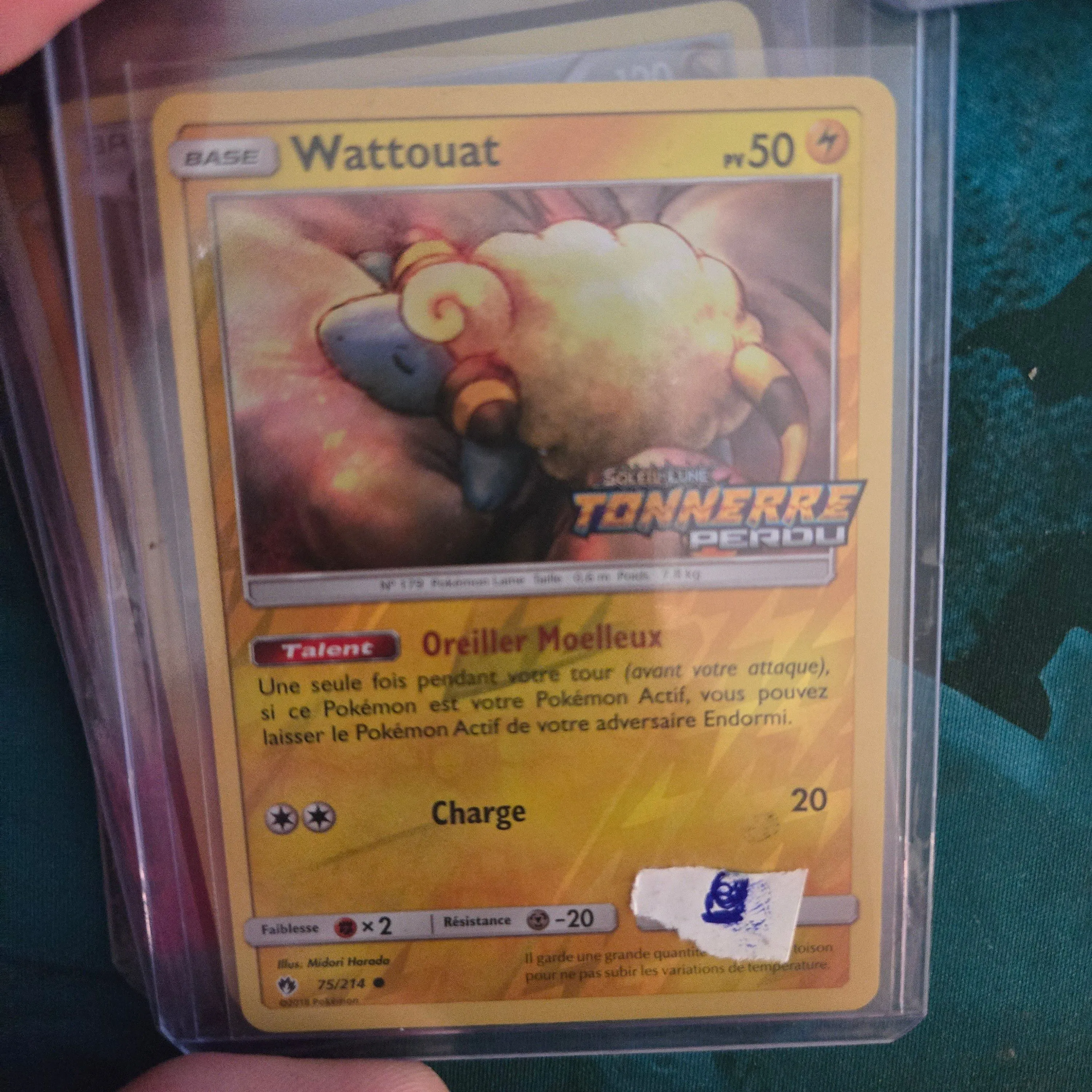 Product image for wattouat reverse