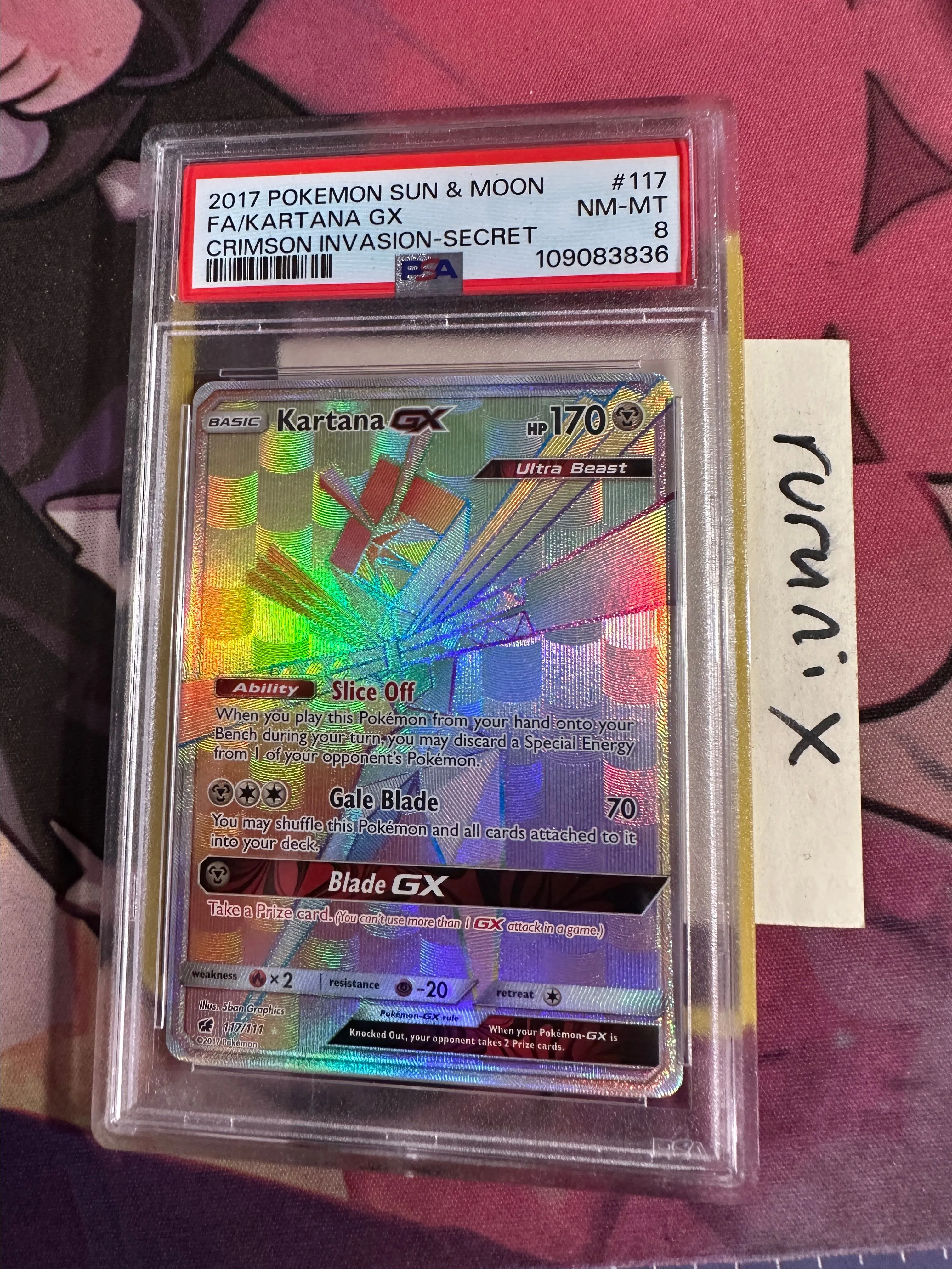 ced1e196-b355-49b4-8a10-8195a3607845