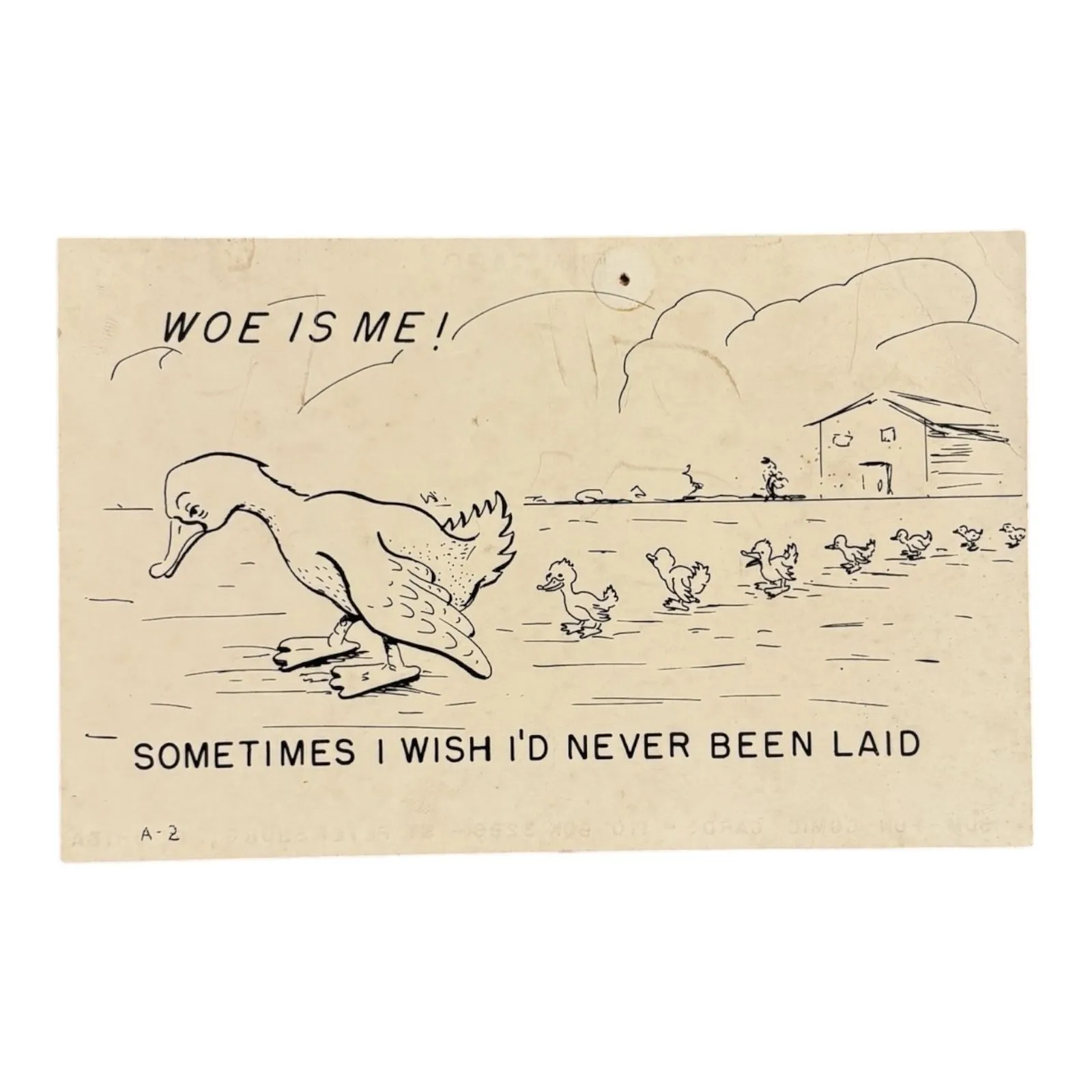 Product image for WOE IS ME * Humor Postcard * Sum- Fun Comic Postcards