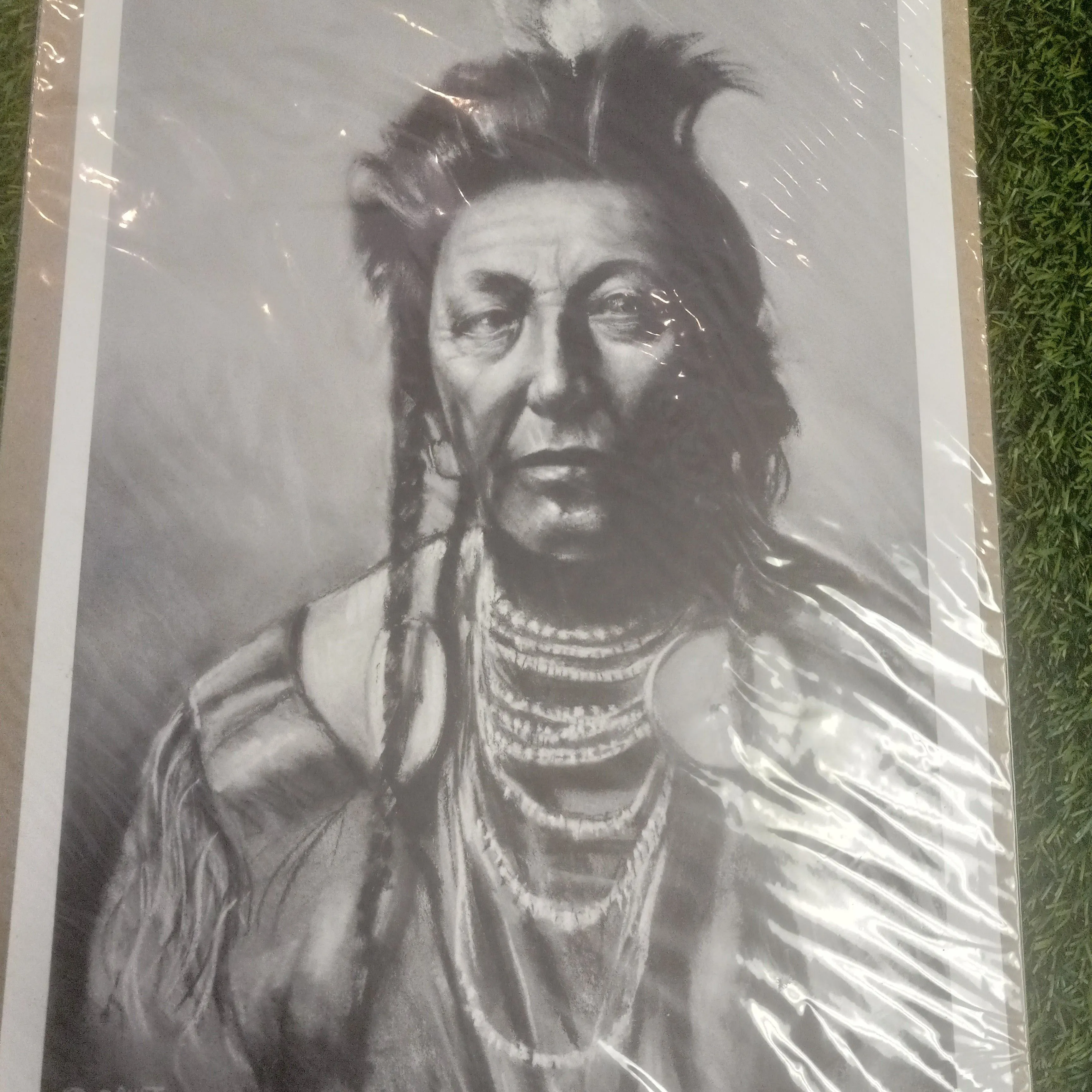 Product image for Authentic Native American Portrait