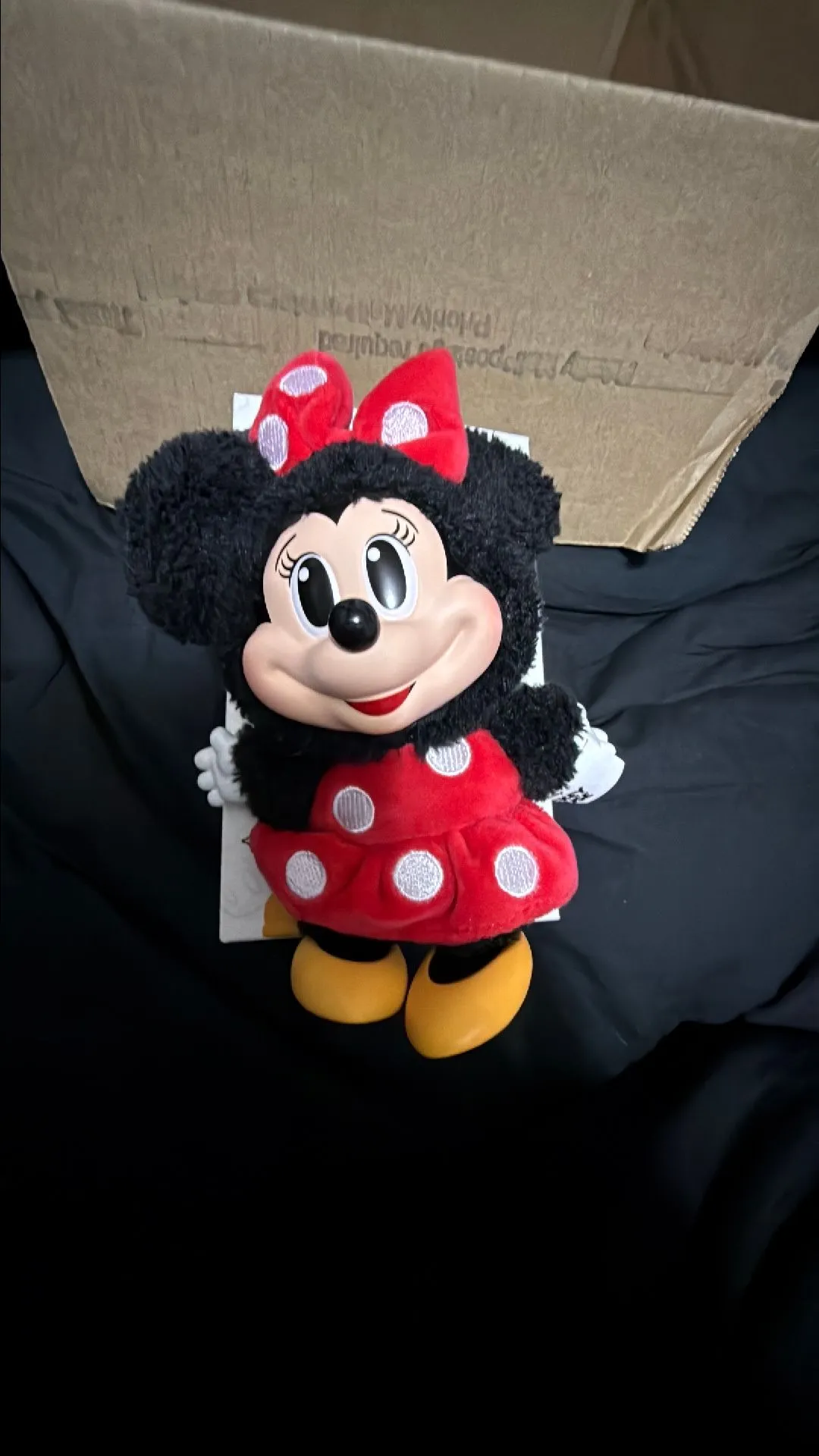 Product image for Minnie from Mickey and friends