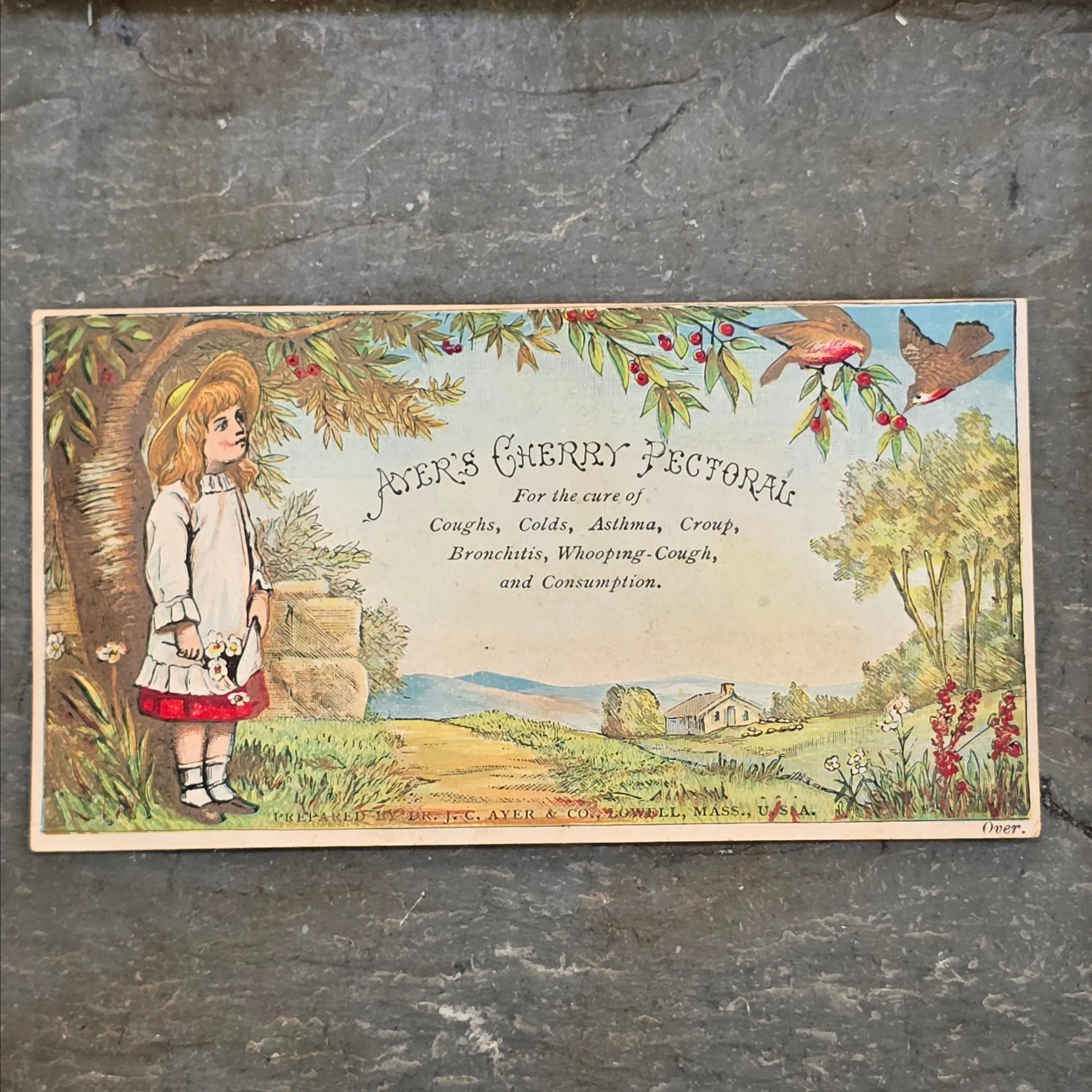 Product image for Ayer's Cherry Pectoral Dr. Ayer Medicine Antique Advertising Victorian Trade Card Girl w/ Flowers (WNB2-278)
