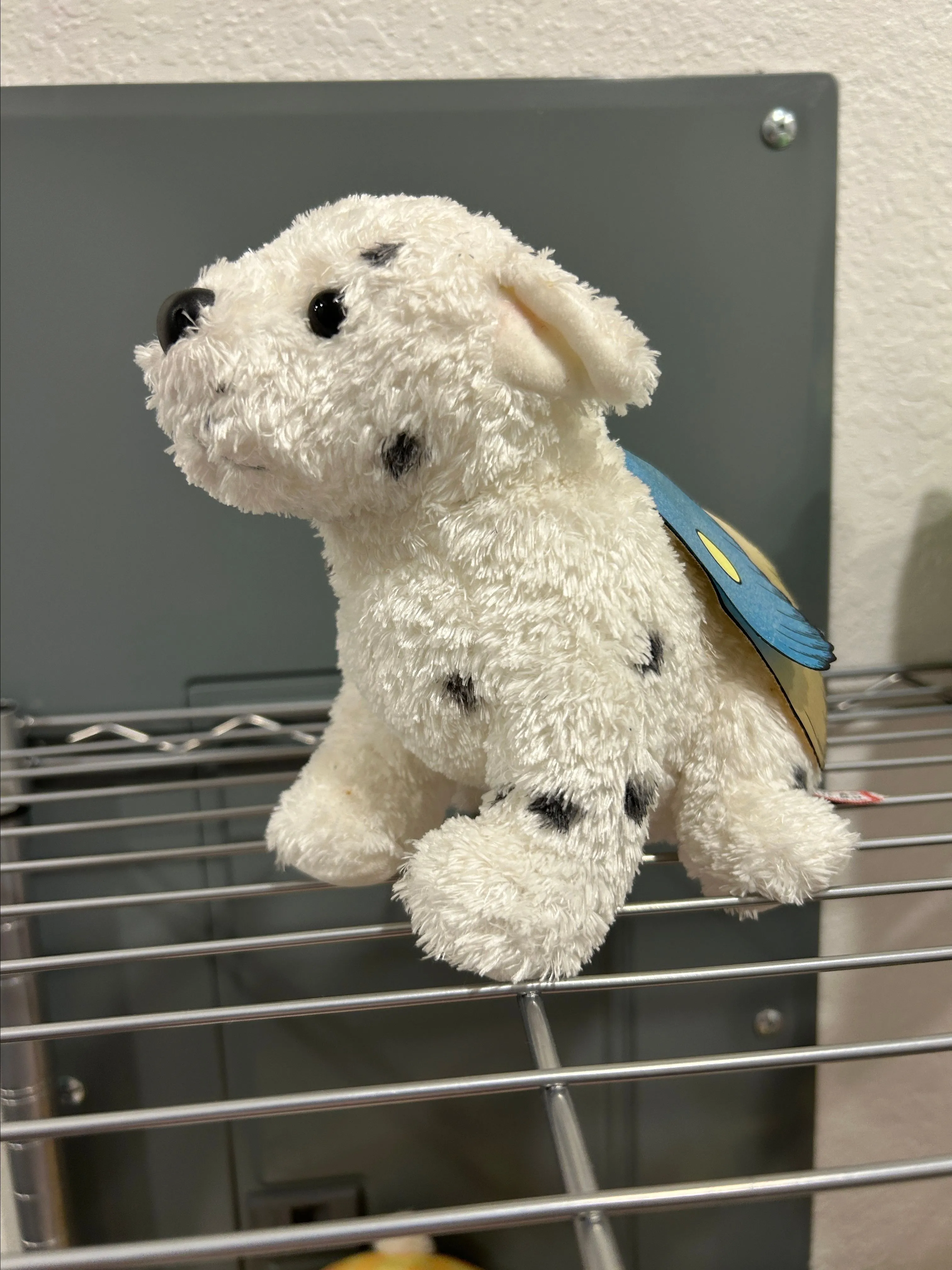 Product image for Douglas Cuddly Dog Plush With Wings