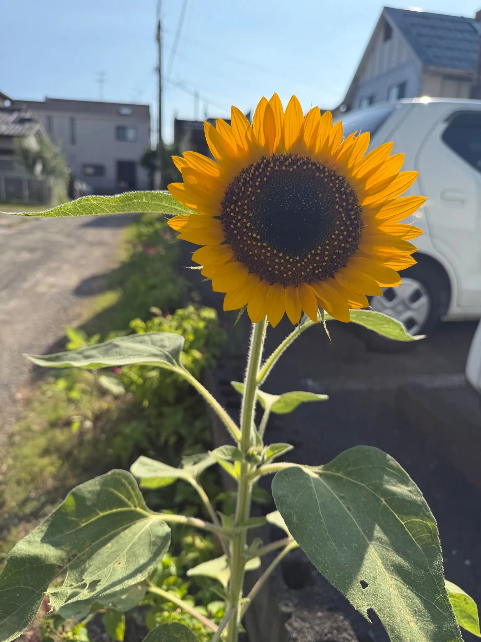 d2f0ef6b-2d6e-4753-b677-cc8e7c359d42